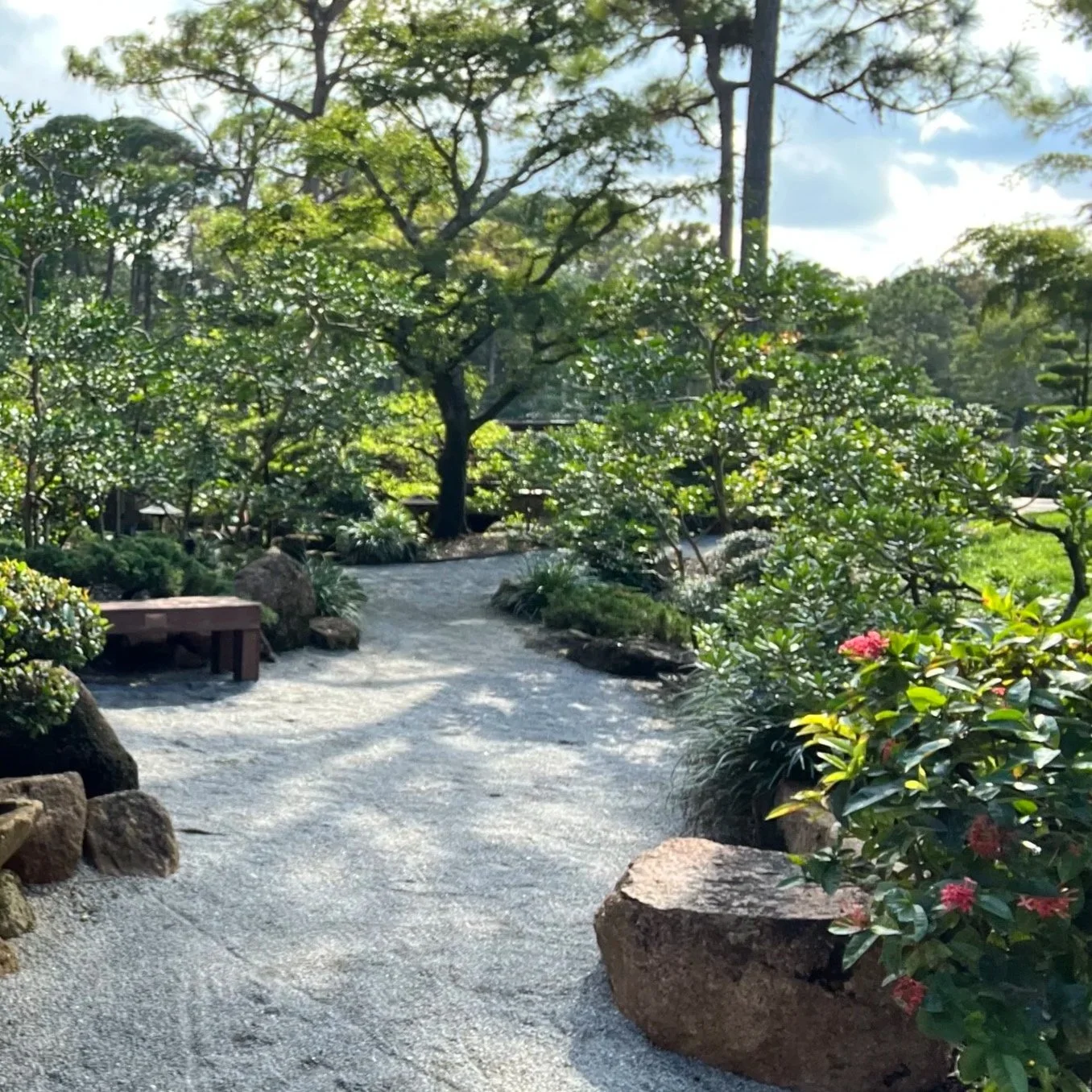 From "Needed" to "Enough": A Mindful Practice for Women in Transition