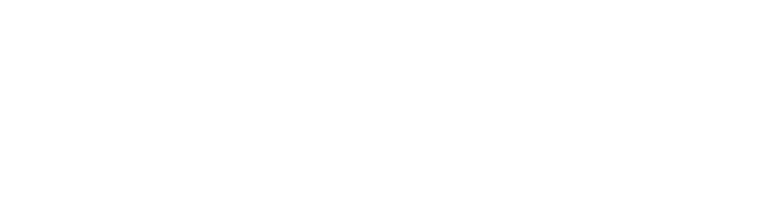 Black Bear Property Services