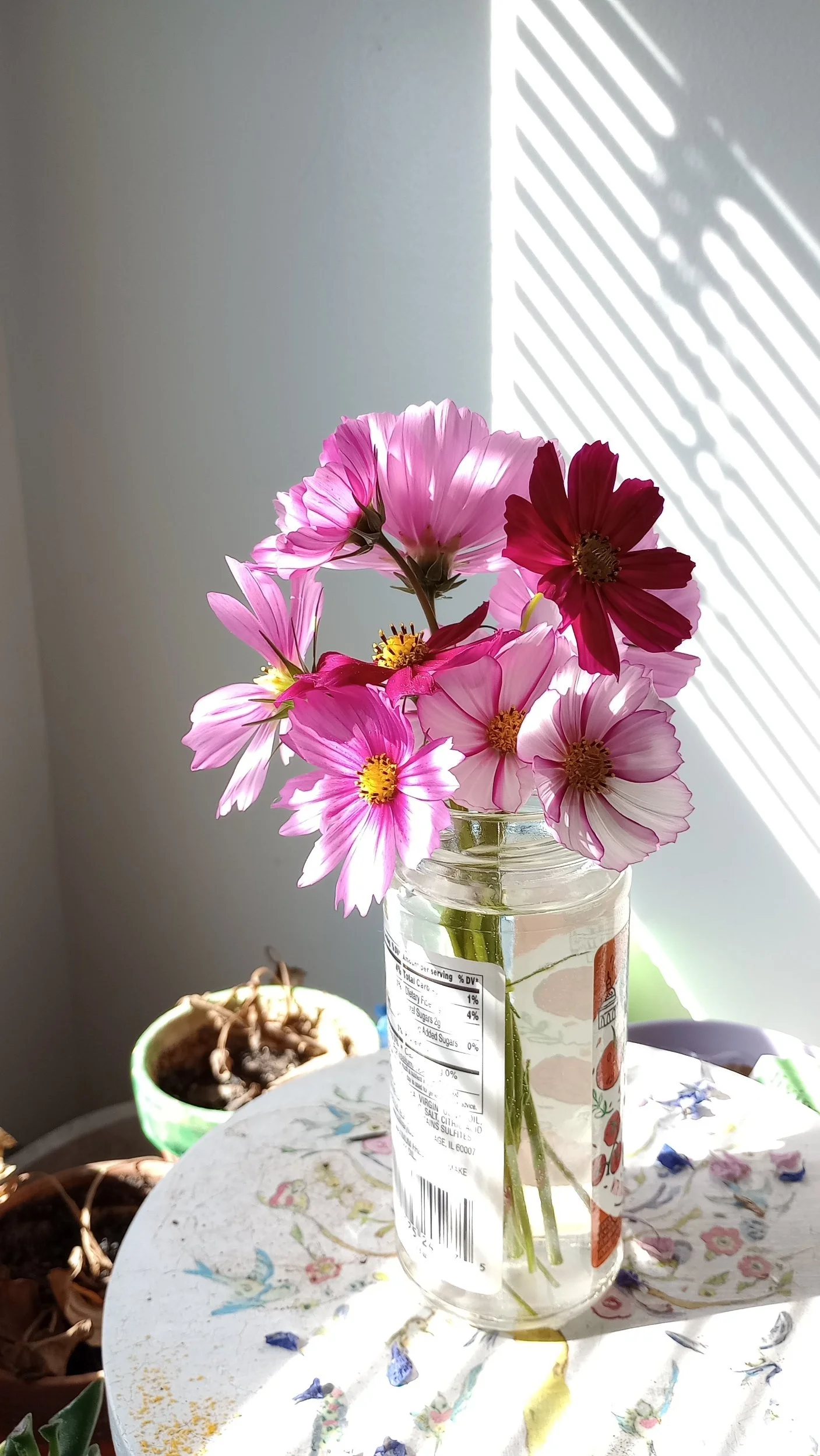 processed_1000057264.jpg