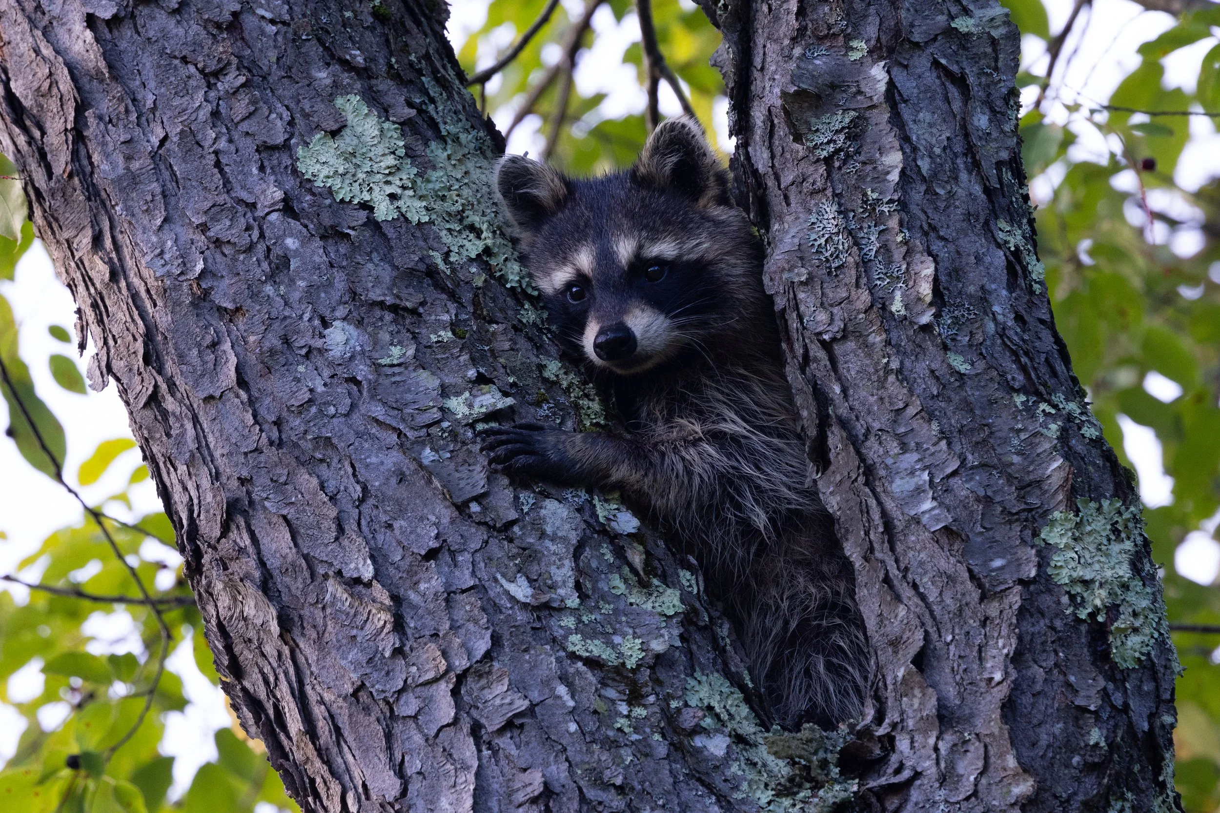 Reggie’s cousin and more…