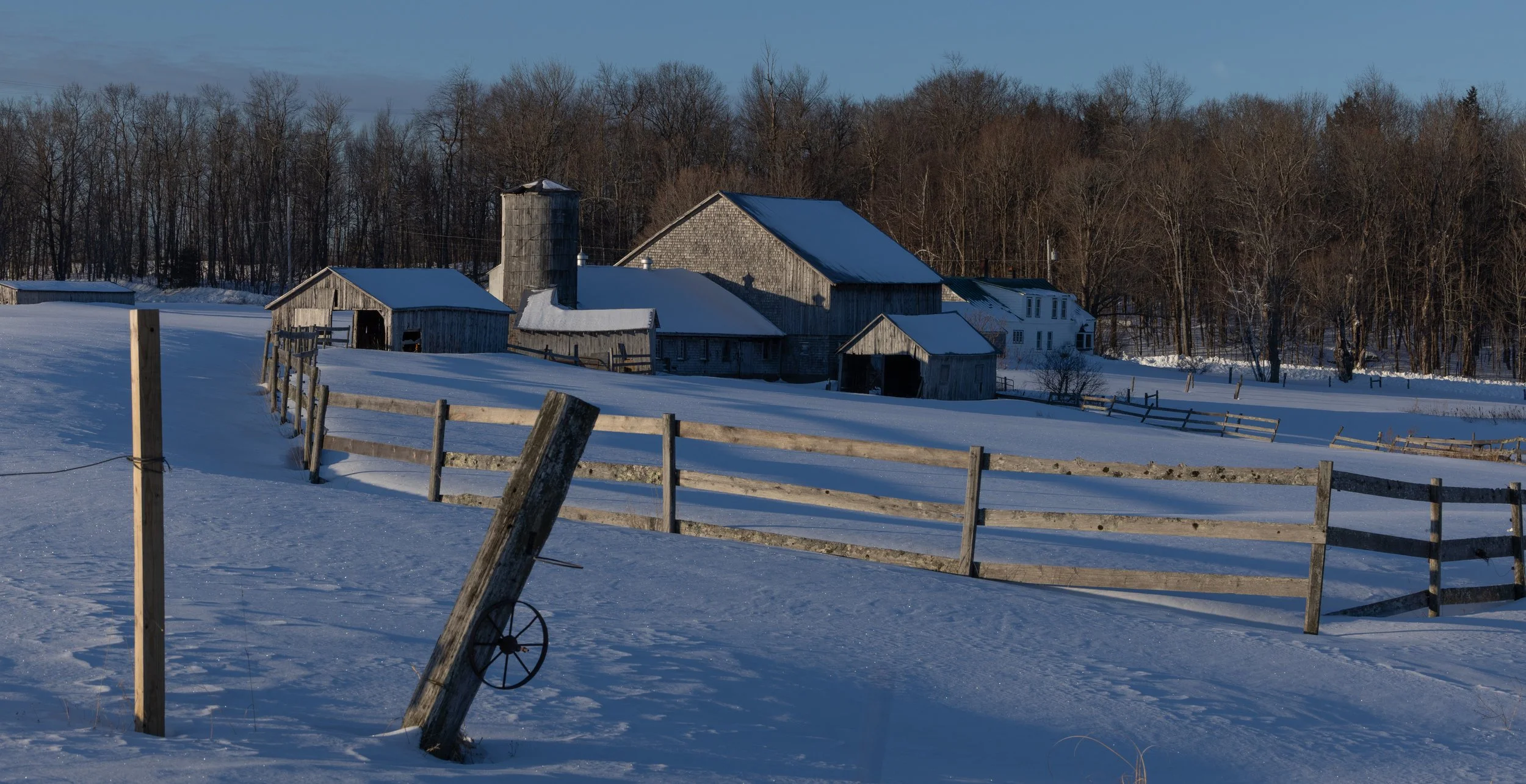 Stunning Post-Storm Morning
