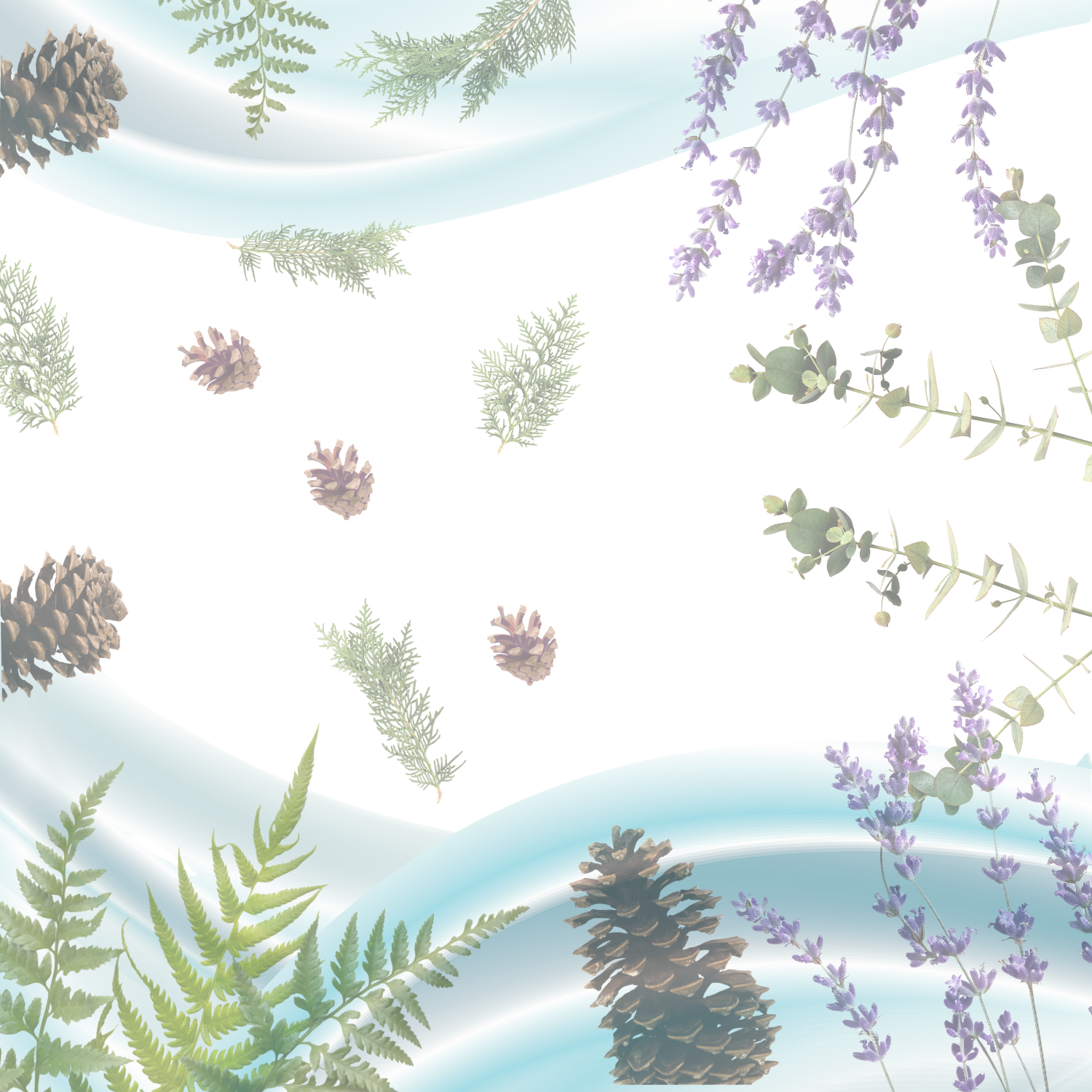 Fresh, aromatic scents of evergreens, citrus groves, and wild herbs.