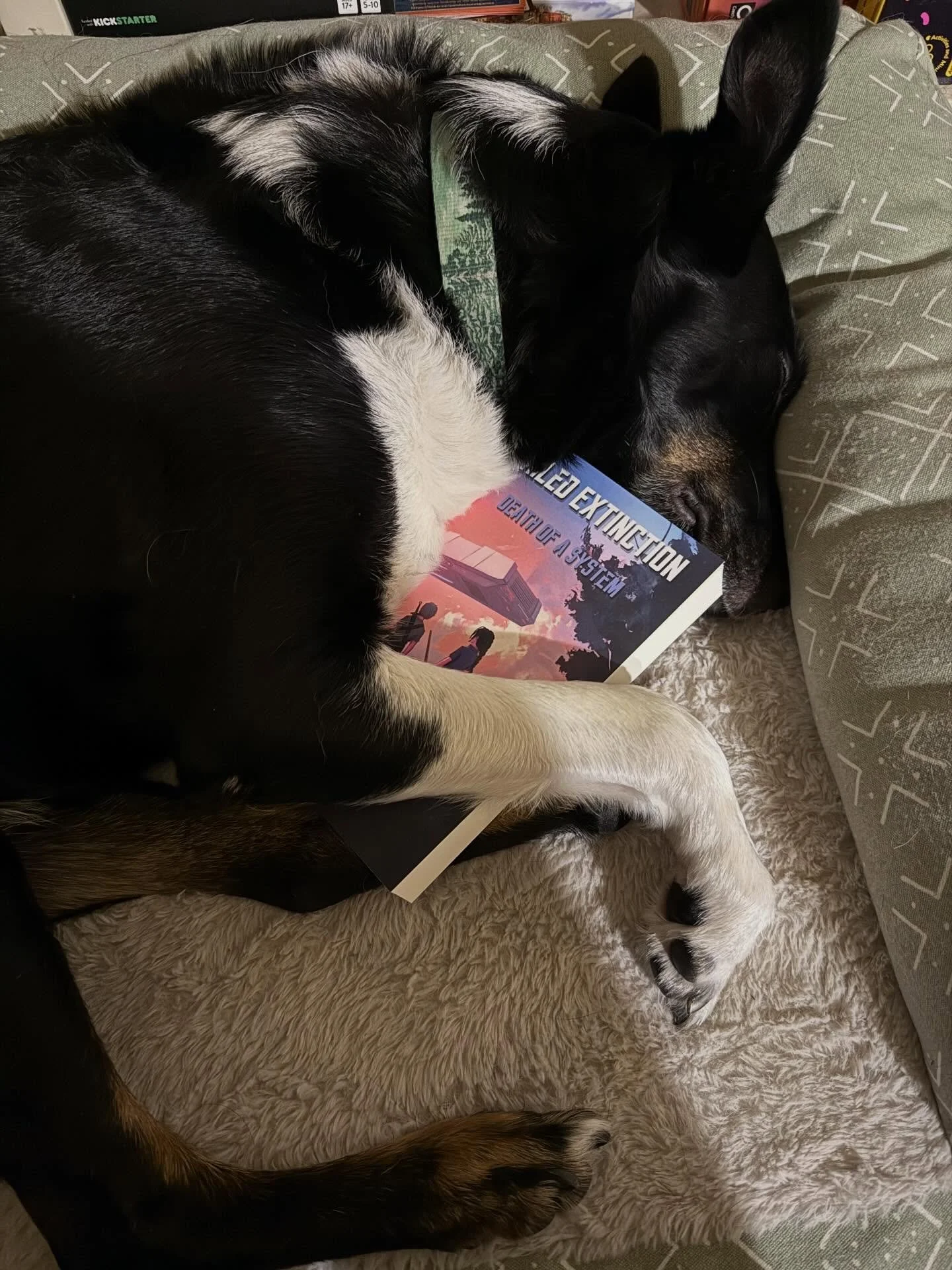 This is Loki. Loki thinks you should buy Failed Extinction: Death of a System. He things it makes a good snuggle option (not sure about that one&hellip;) buying this book in TWO DAYS would make him very happy. Don&rsquo;t make Loki sad. He&rsquo;s to