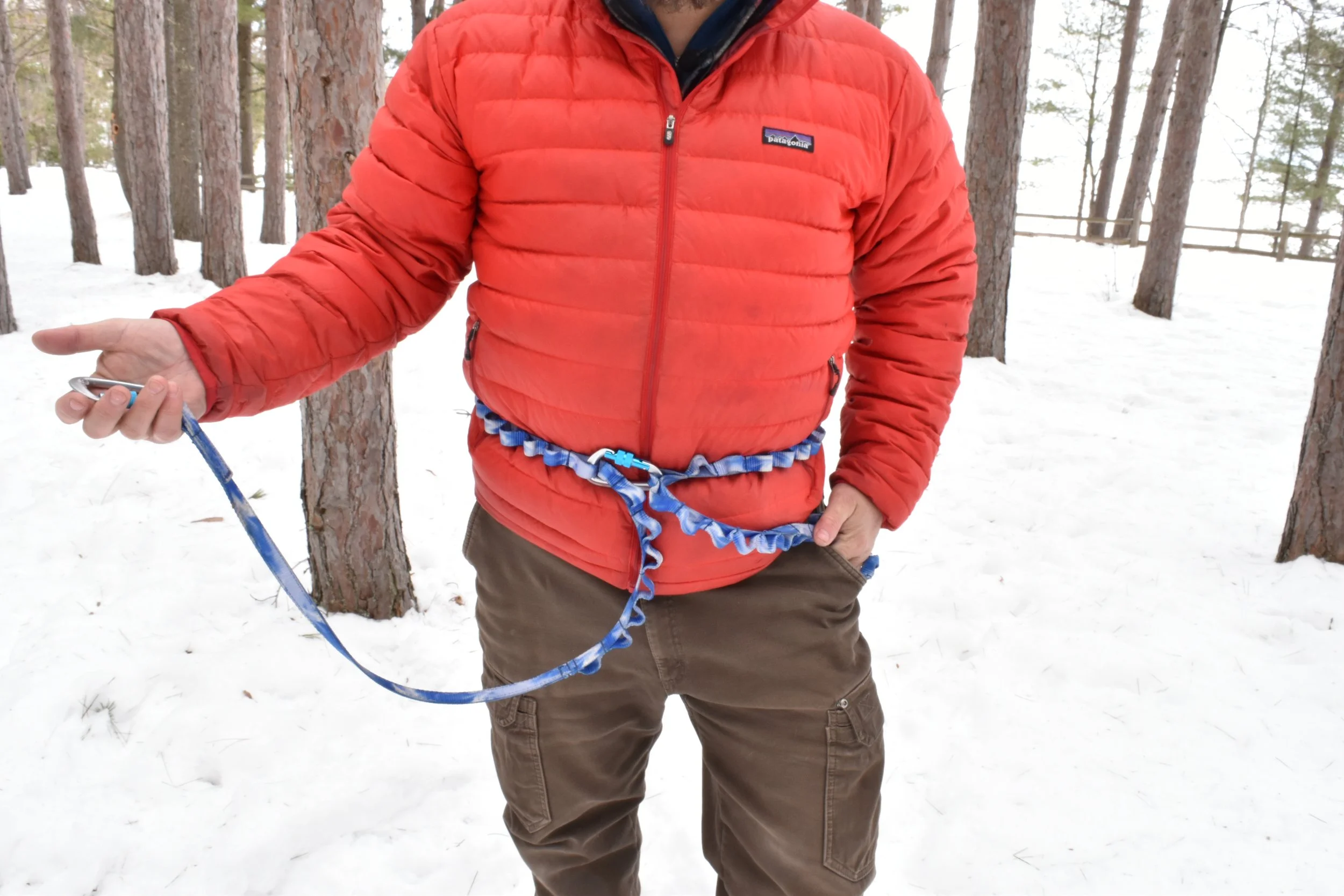 2-Dog Waist, 1 Connected