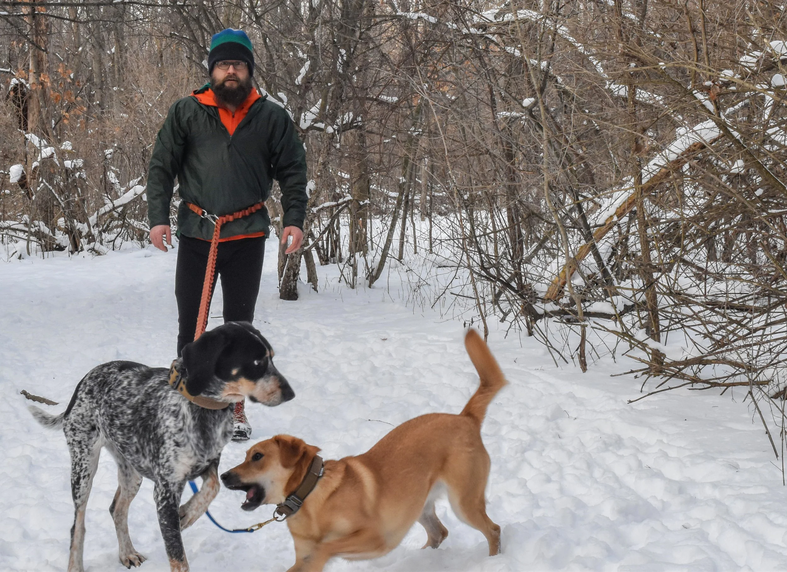 Hands-Free, w/Splitter