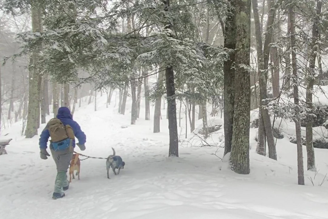 Waist Leash w/Splitter