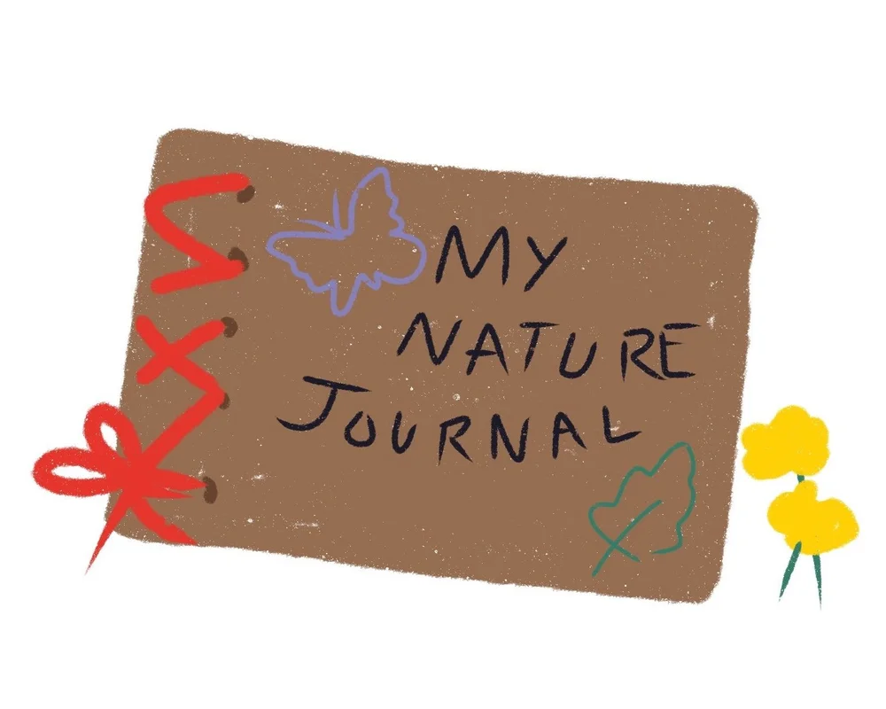 MAKE A Nature Journal Nature Time make-a-nature-journal-nature-time
