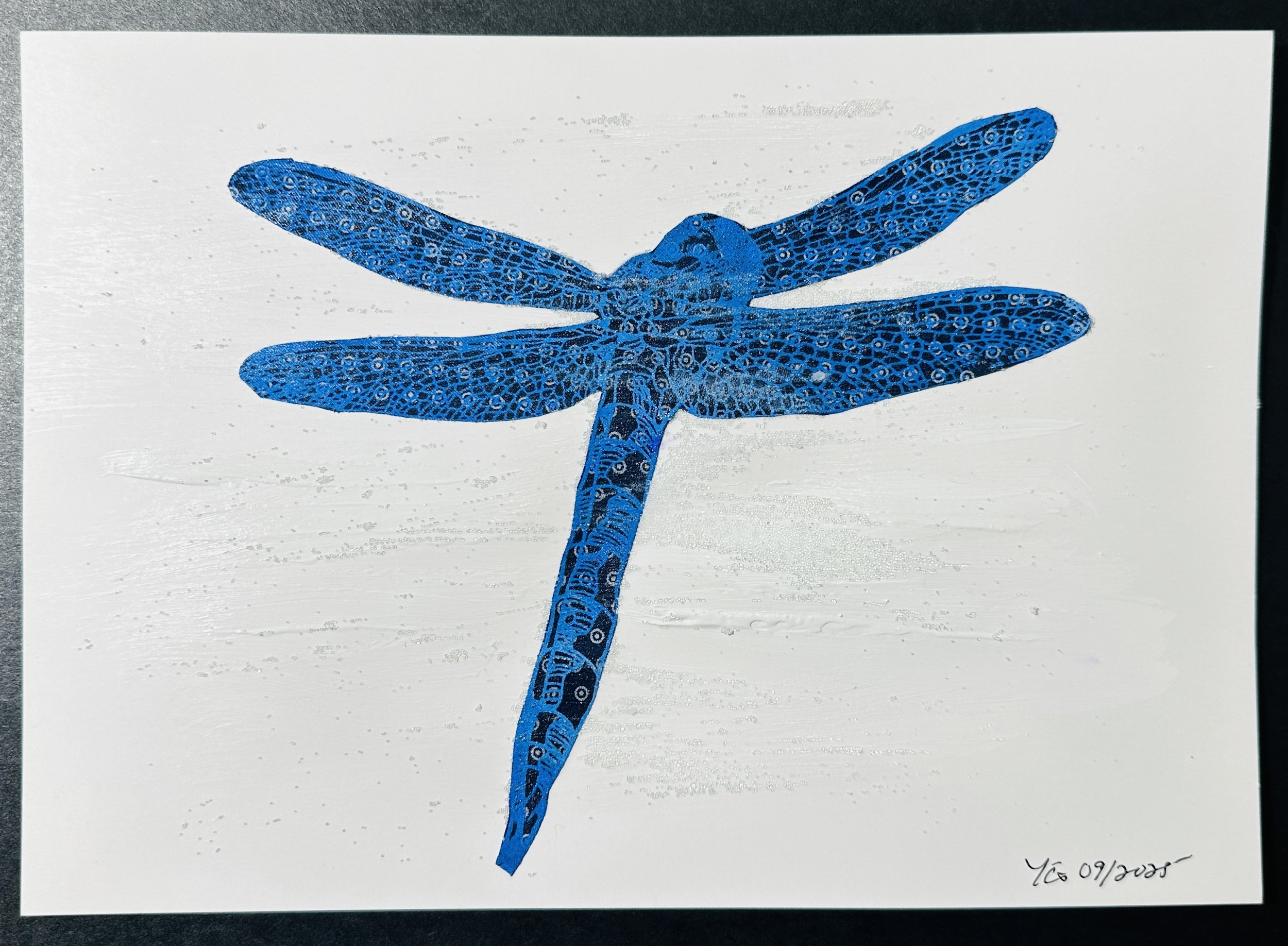 SALT 195- Five Dragonflies screen printed on shweshwe fabric in Botswana 2024
195 Digital ink-jet printed Dragonflies vinyl stickers, (disposables) for installation
