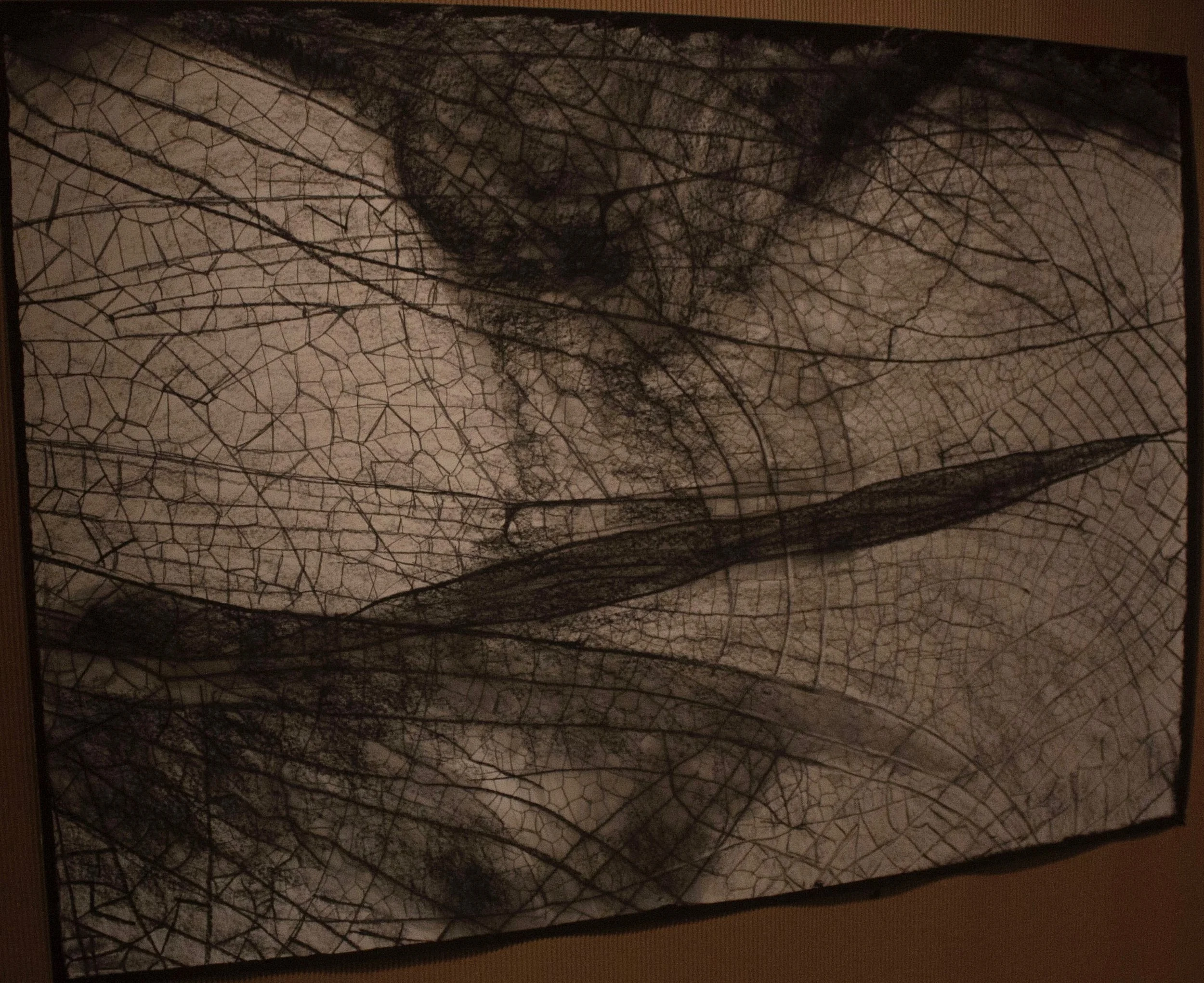 Justice Denied, 2017