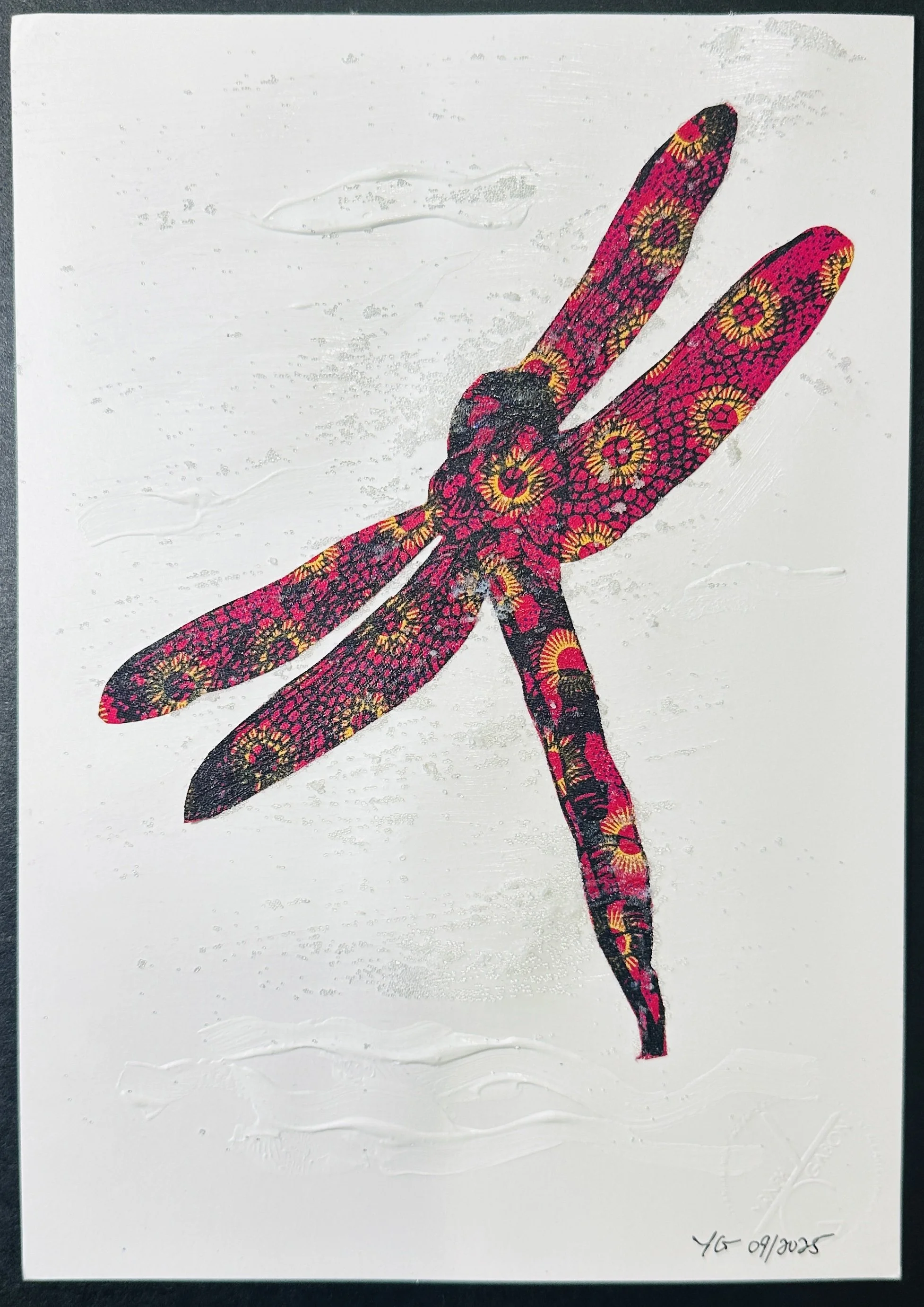 SALT 195- Five Dragonflies screen printed on shweshwe fabric in Botswana 2024
195 Digital ink-jet printed Dragonflies vinyl stickers, (disposables) for installation