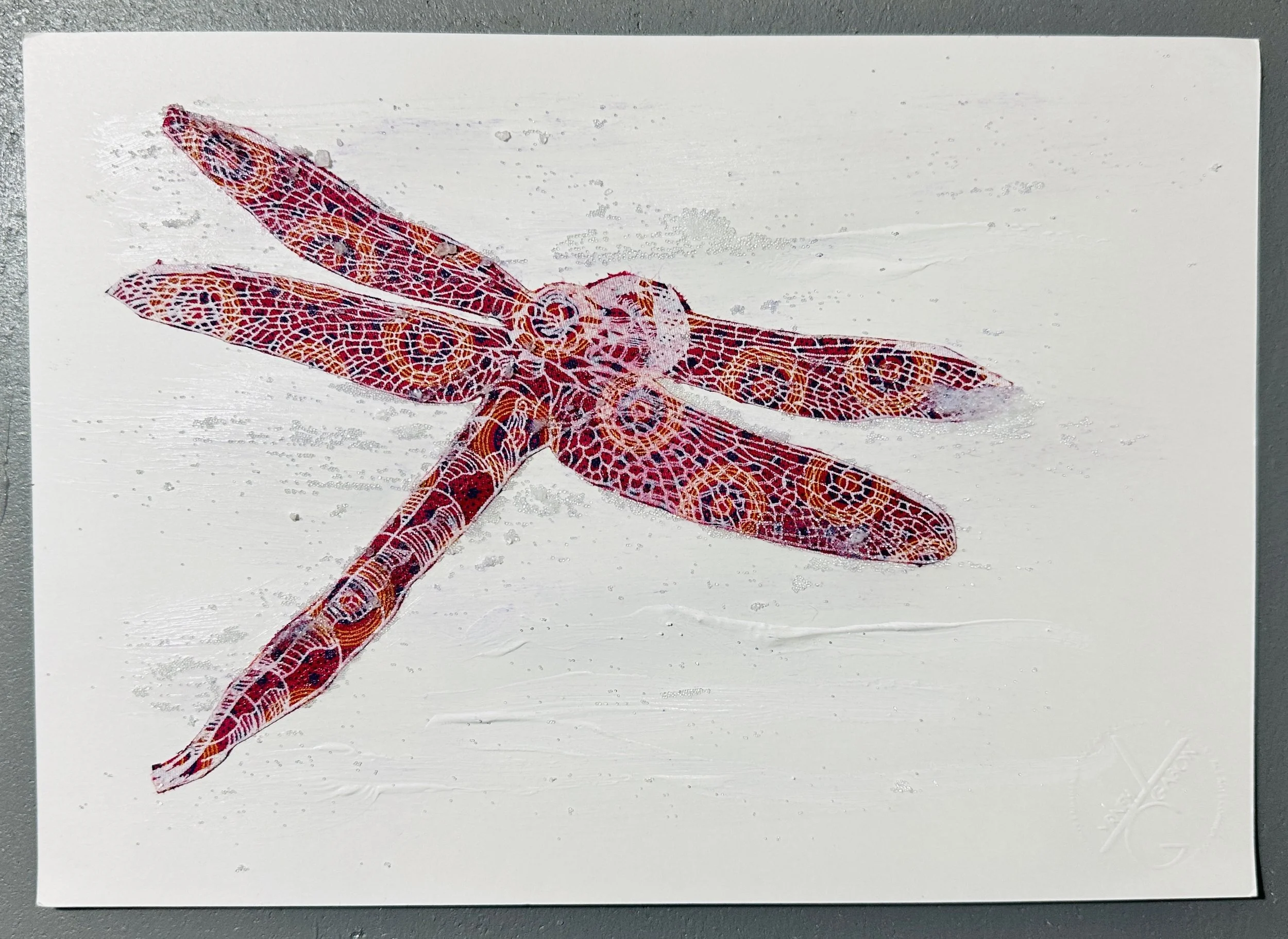 SALT 195- Five Dragonflies screen printed on shweshwe fabric in Botswana 2024
195 Digital ink-jet printed Dragonflies vinyl stickers, (disposables) for installation