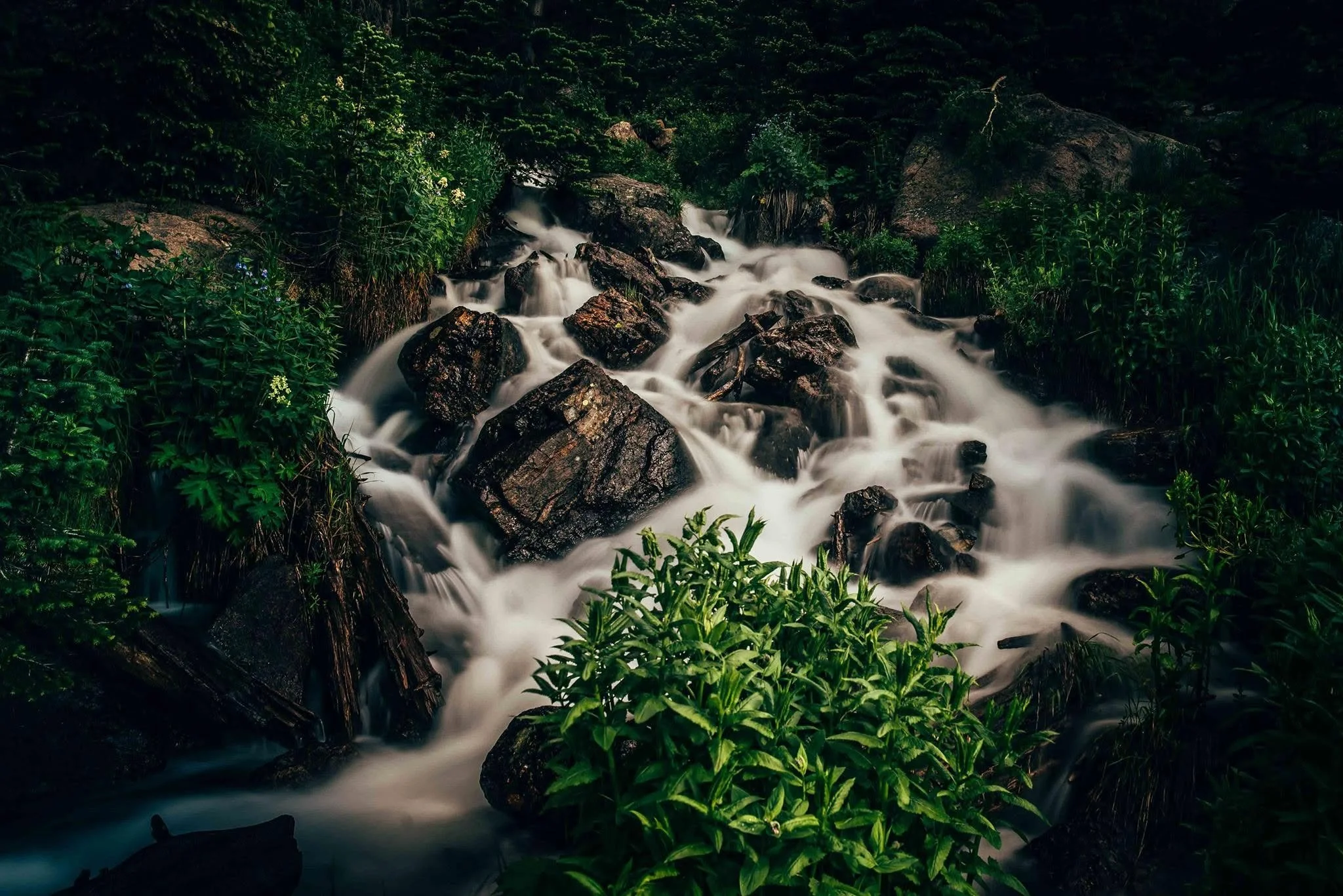Just slightly off the beaten path in @rockynps - a roughly 1 second exposure to turn this fast running water into a silky smooth stream.