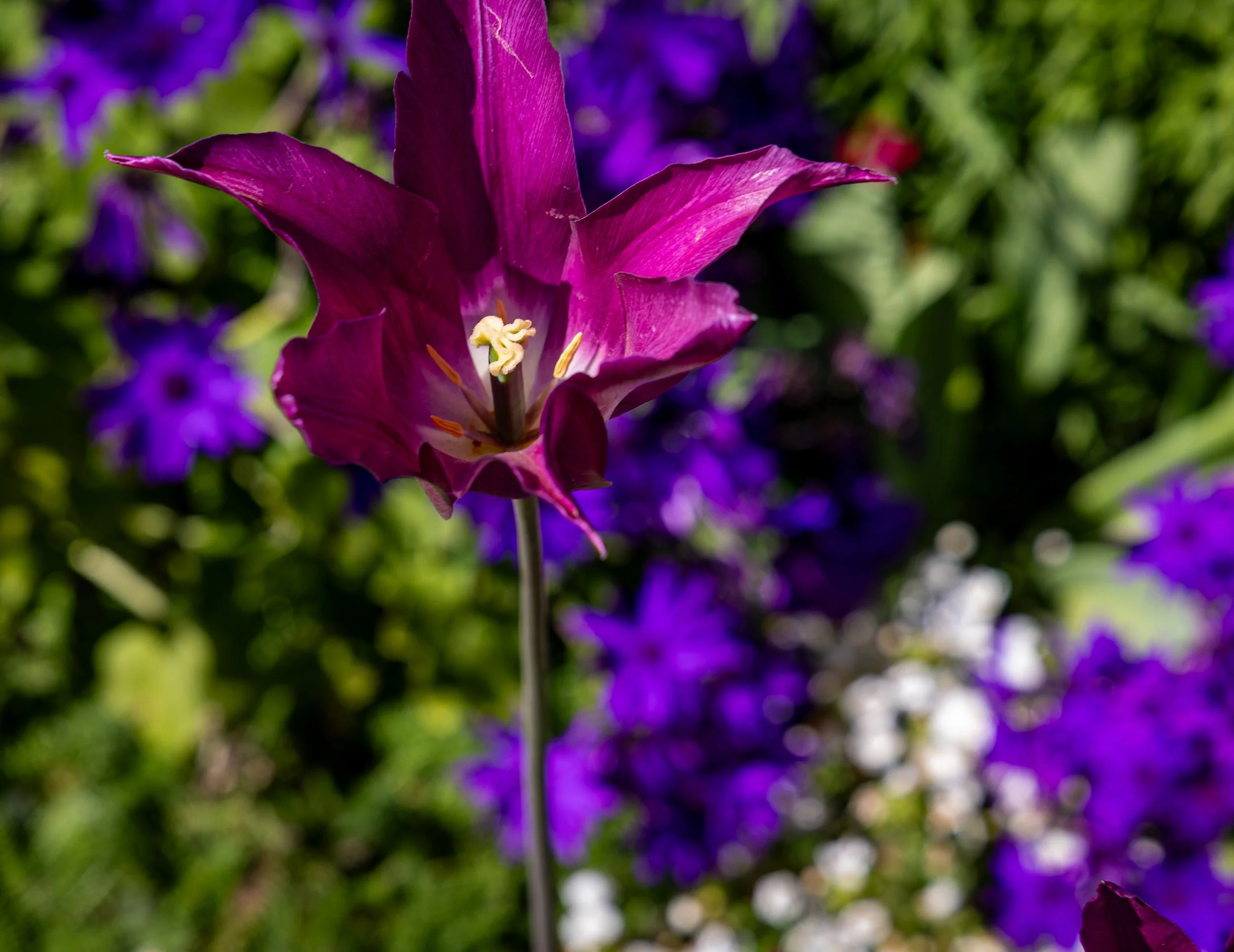 0O2A0955.jpg