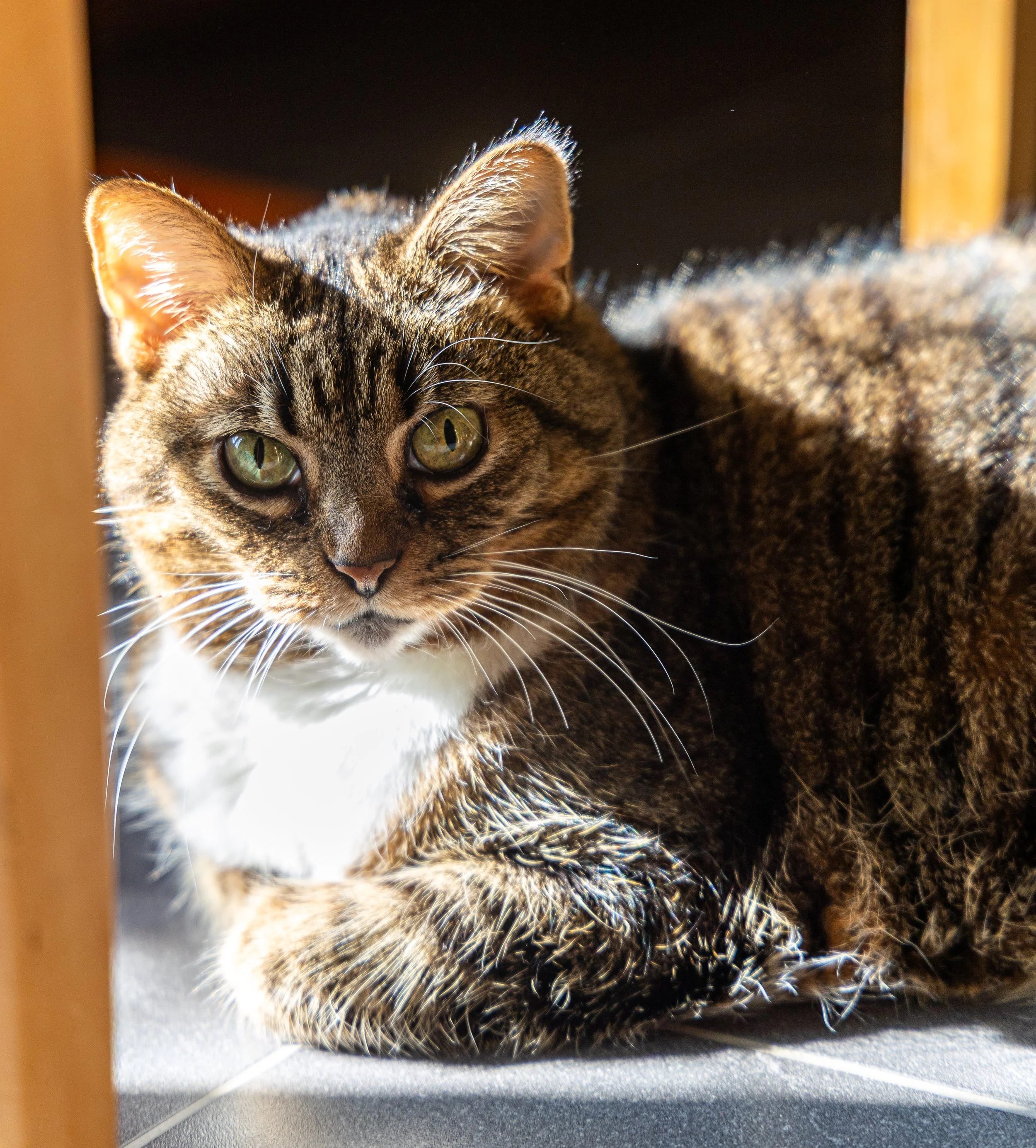 0O2A8594-2.jpg