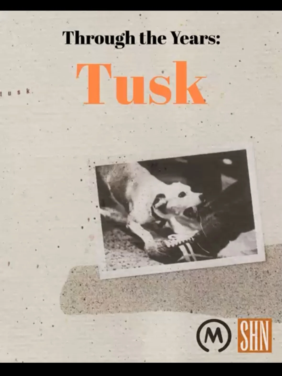 In preparation for our show February 20th at @metrochicago we want to take you &lsquo;Through The Years&rsquo; of Fleetwood Mac each week.

🌛This week, we focus on an often overlooked, but deeply enjoyed album by the ones who know. It&rsquo;s Tusk!
