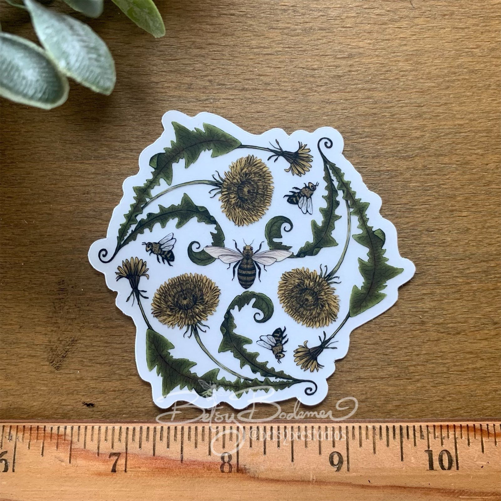https://i.etsystatic.com/10082726/r/il/12fb39/3749791642/il_fullxfull.3749791642_eg7g.jpg