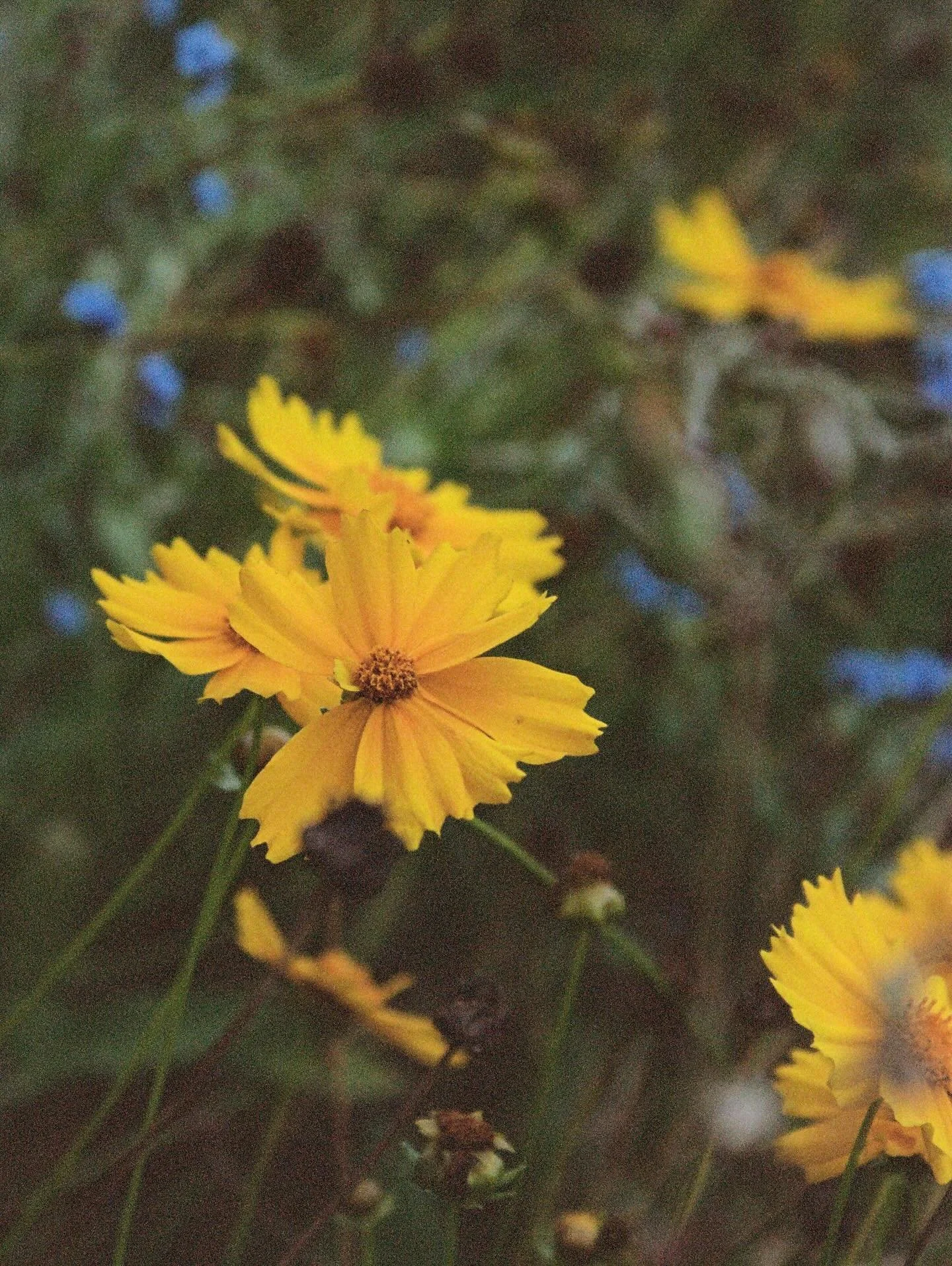 Life has been shifting&mdash;expanding, contracting, unfolding. So many wonderful things have come my way lately: creative projects, new opportunities, inspiring people, and ideas. I&rsquo;m learning to embrace it all while still carving out moments 