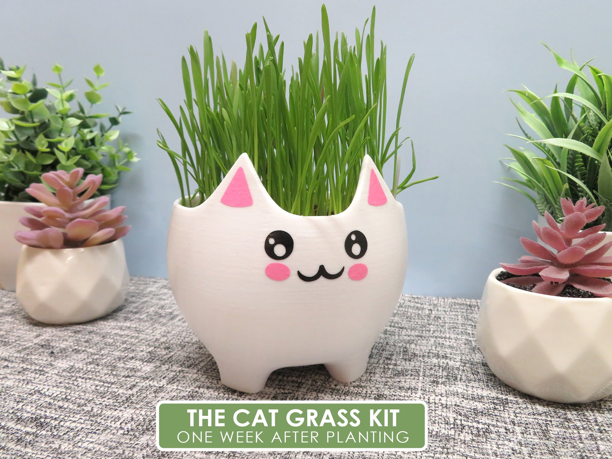 CatPlanter_6.jpg