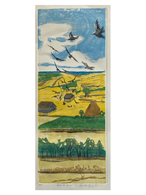 Vincent's View
