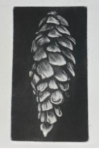 Andrew Jagniecki_Nature as Art_Print_Printmaking.png