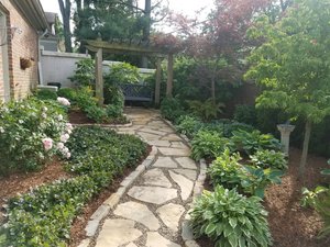 20200515_164004 2.JPG