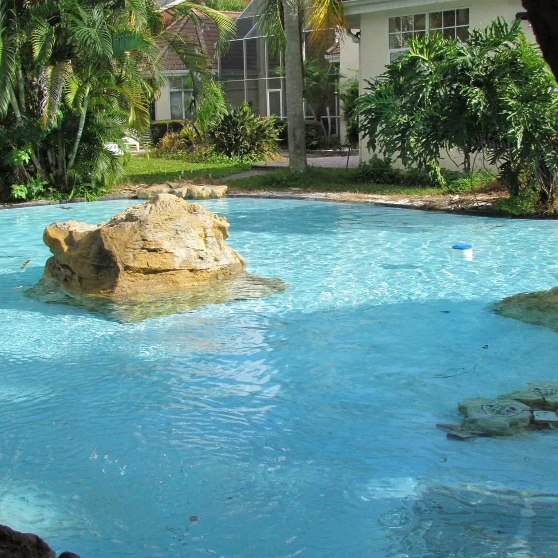 pool cleaning in Florida