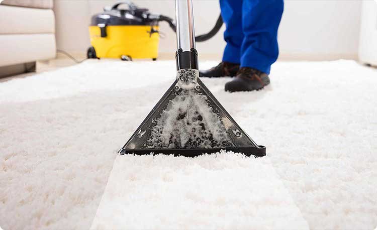 Carpet Cleaning Toronto Romy Tile And Service