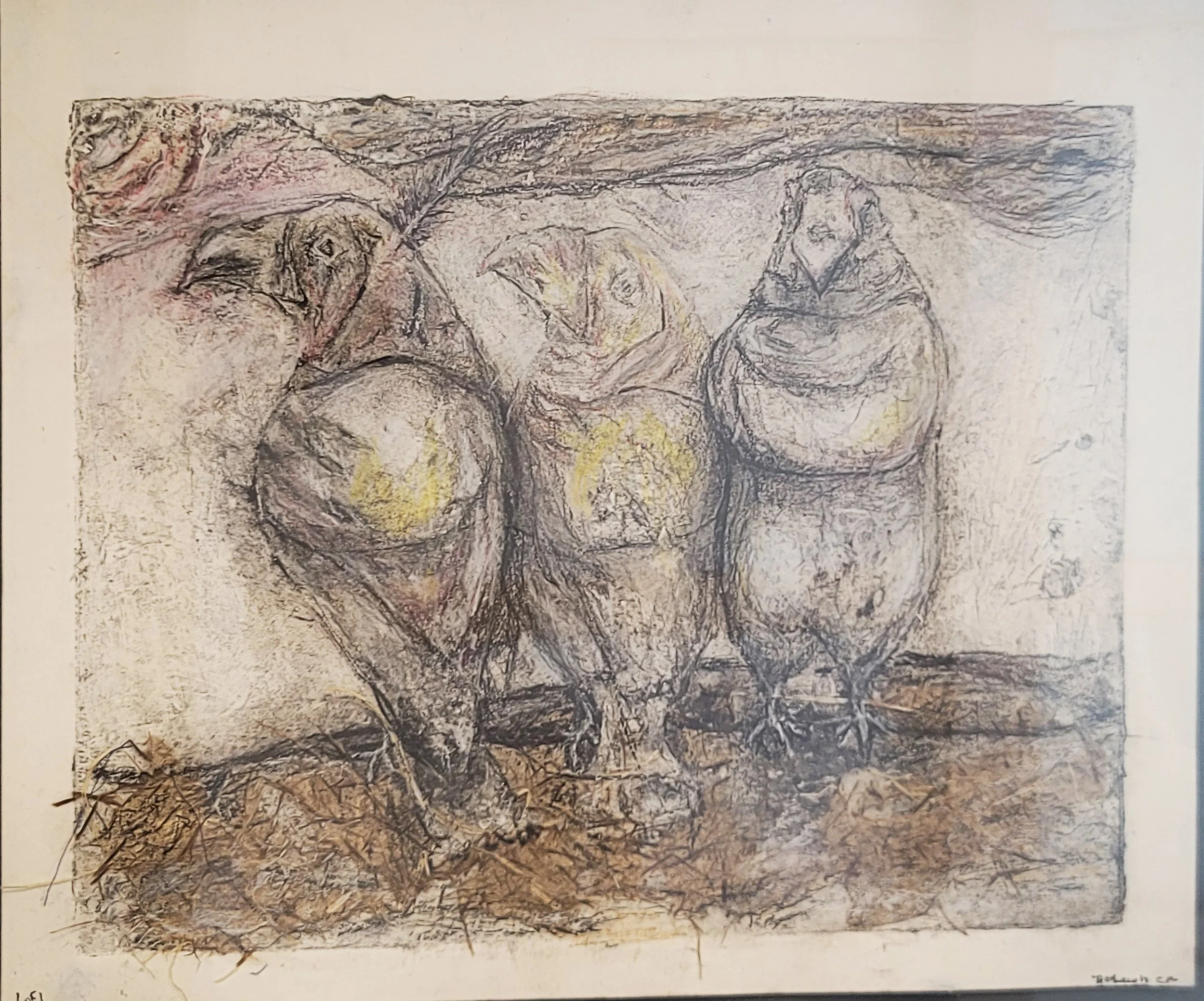 Birds.jpg