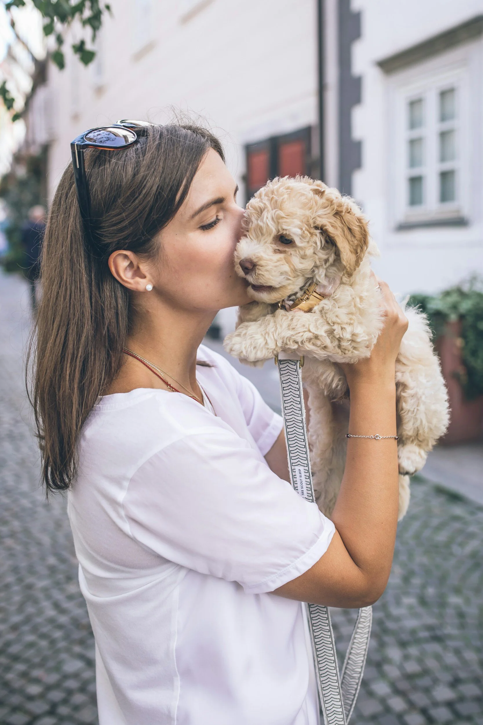 Pawrenting Trend: The Rise of Pet Adoption and the Decline of Parenthood