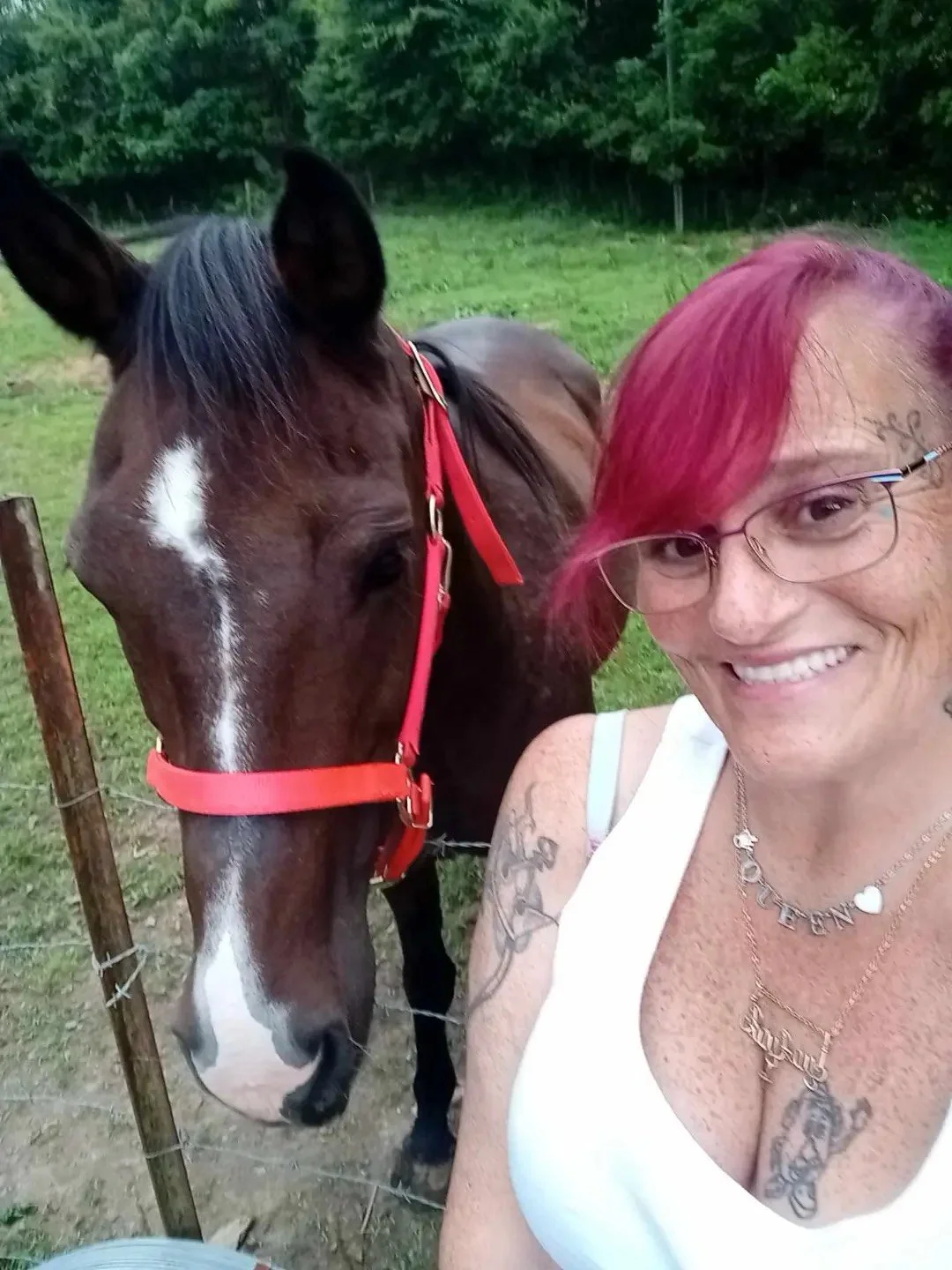 Bay-bay with My Brothers Keeper Sanctuary, animals, horse,  save sanctuary