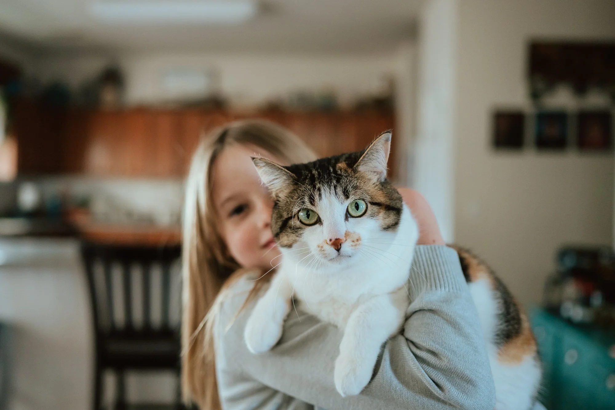 san-antonio-documentary-family-photographer-cat-in-hands-of-daughter8424.jpg
