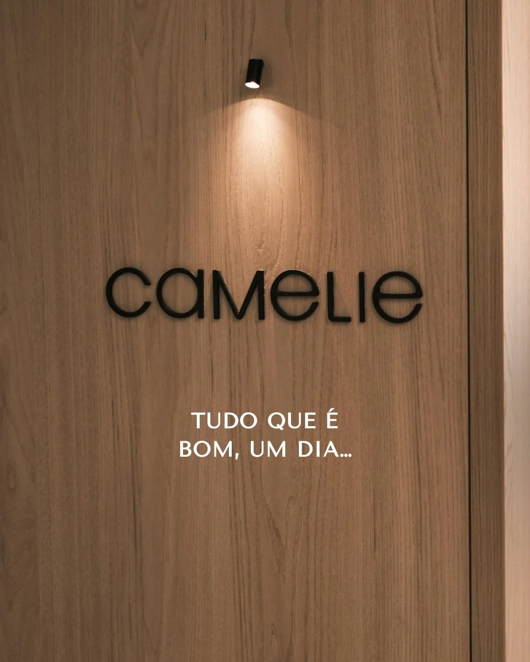 Hoje &eacute; um dia muito especial por aqui.
A Camelie completa 1 ano. Um ano de evolu&ccedil;&atilde;o, aprendizado e muitas hist&oacute;rias que passaram pela nossa cl&iacute;nica. 

Obrigada por fazer parte dessa jornada. Nosso pr&oacute;ximo ano