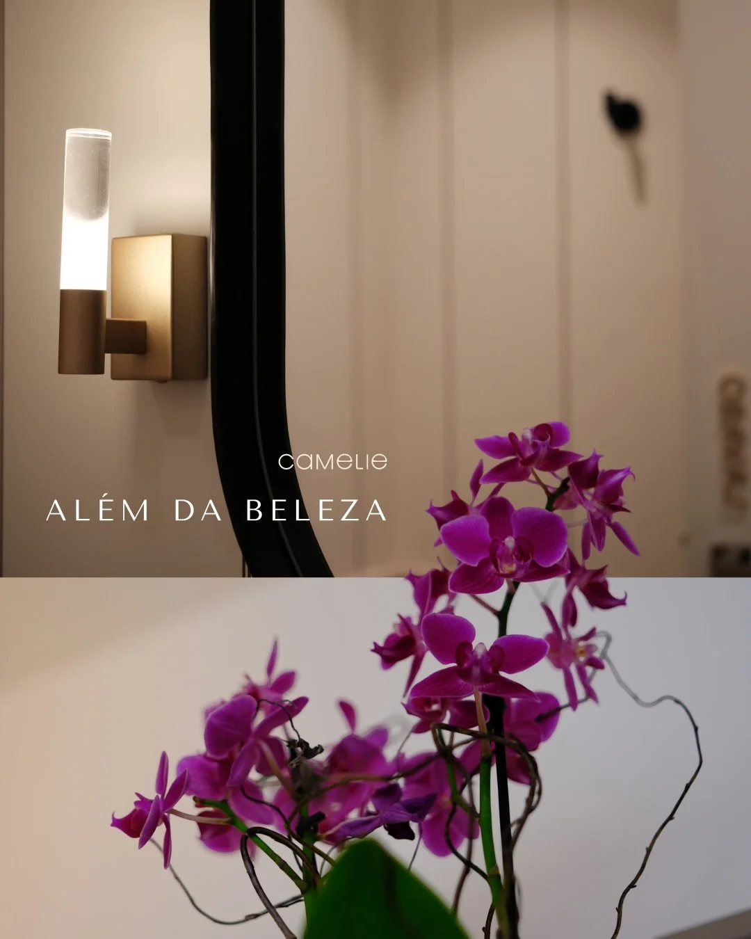 Al&eacute;m de ficar bonita, ainda tem tudo isso... 

Cada cantinho da Camelie &eacute; pensado para te acolher ✨

#dermatosp #dermatojardins #dermatosbd #camelie