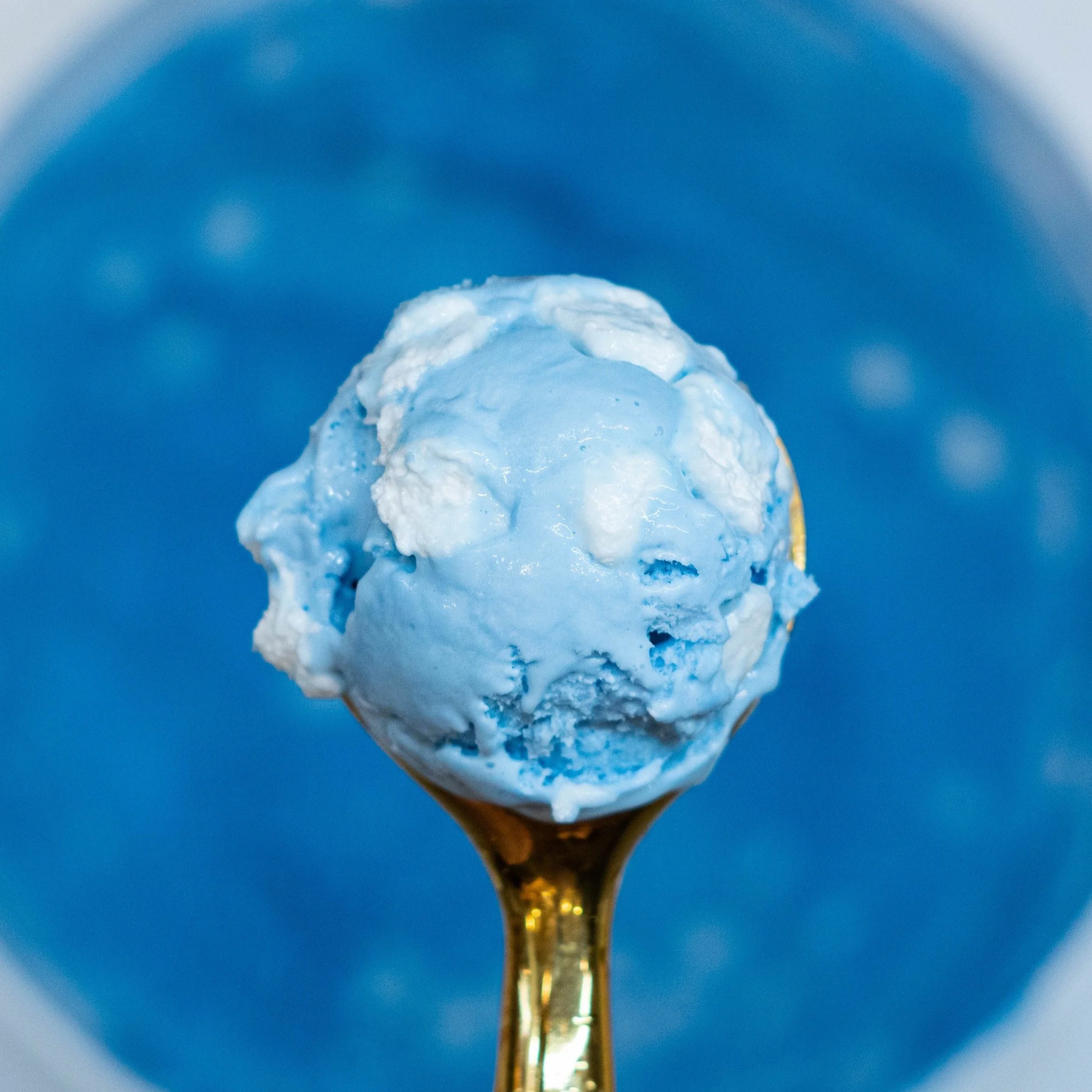 Menu — Gold Spoon Creamery