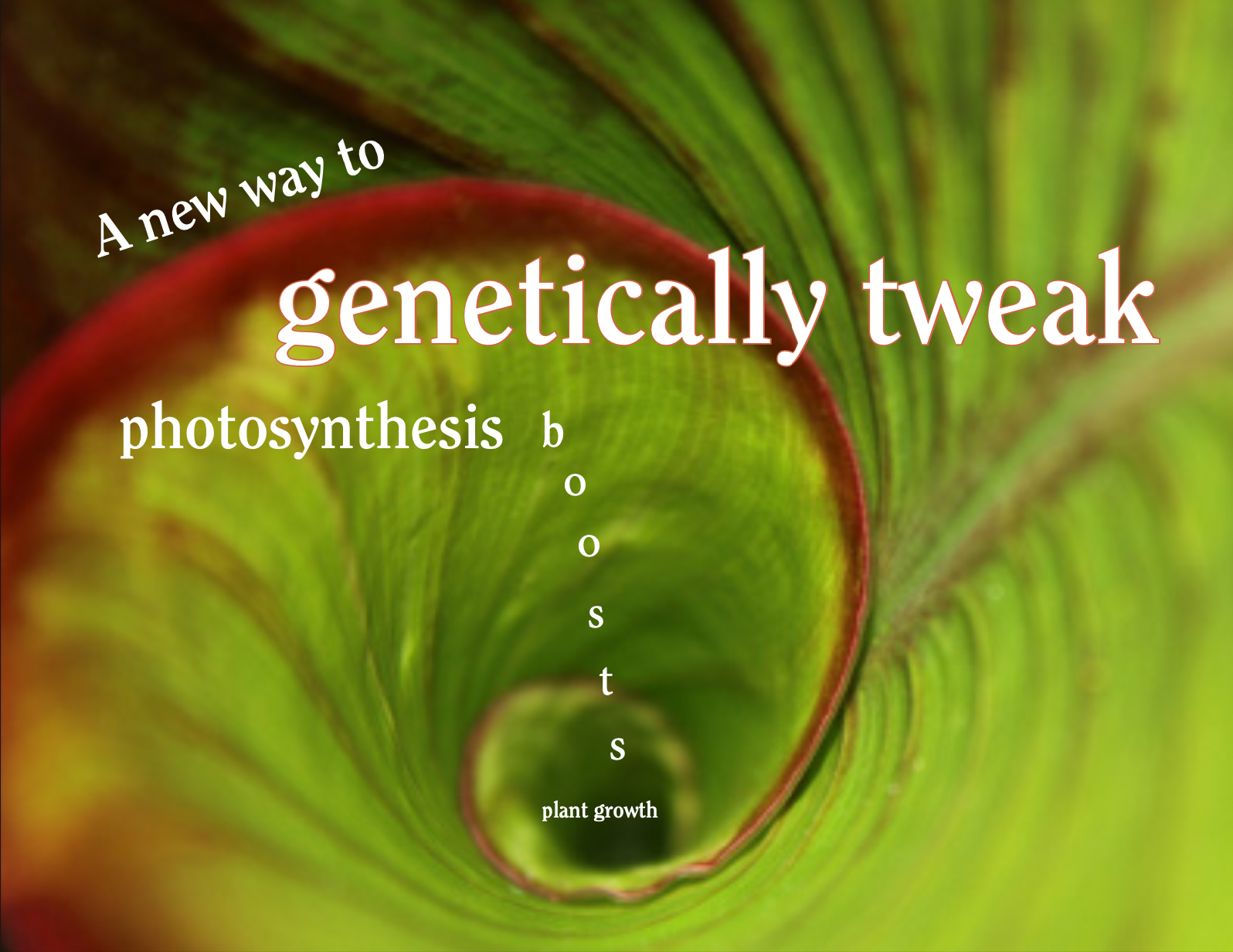 Screen Shot 2022-10-09 at 9.17.17 PM.png