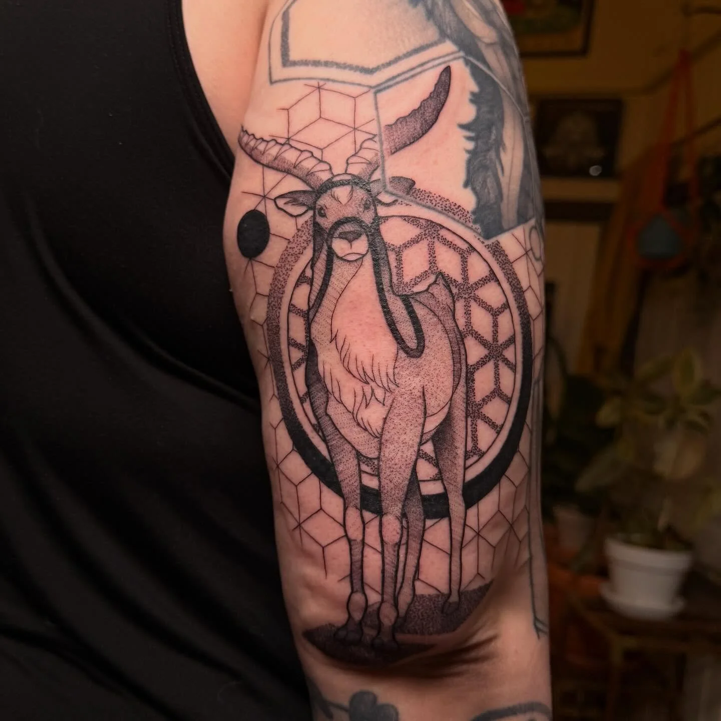 We still out here making tattoos. Minneapolis I&rsquo;m booking February-April. Final spots before I move back to NY. Big or small I&rsquo;m open to tattooing pieces of all sizes. DM with any questions. Let&rsquo;s make something cool.(I&rsquo;ll be 