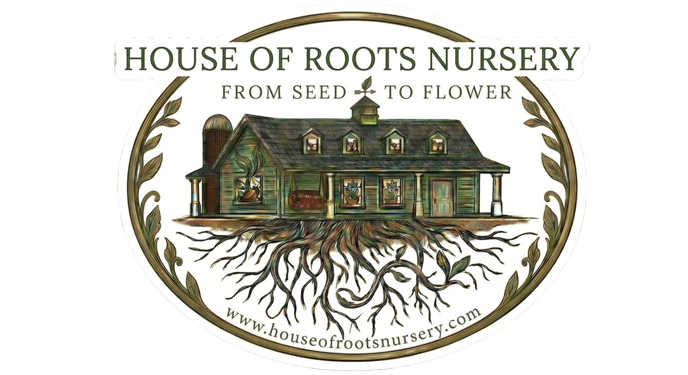 House of Roots Nursery