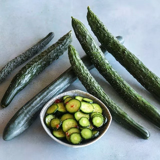 cucumber_china_jade_w_cuke_salad_lss_dsc_5265_850x850.jpg