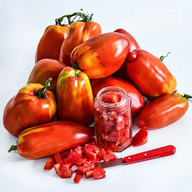 Tomato -  Palomino
