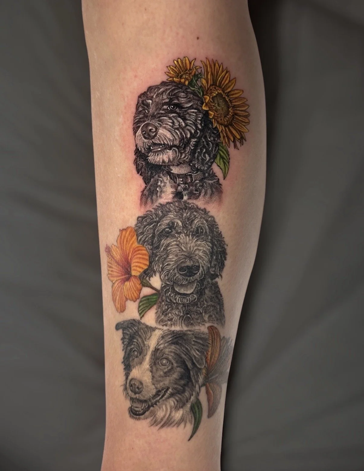 Three realistic dog portrait tattoos with yellow sunflowers and orange flowers, by Chris Kennedy.