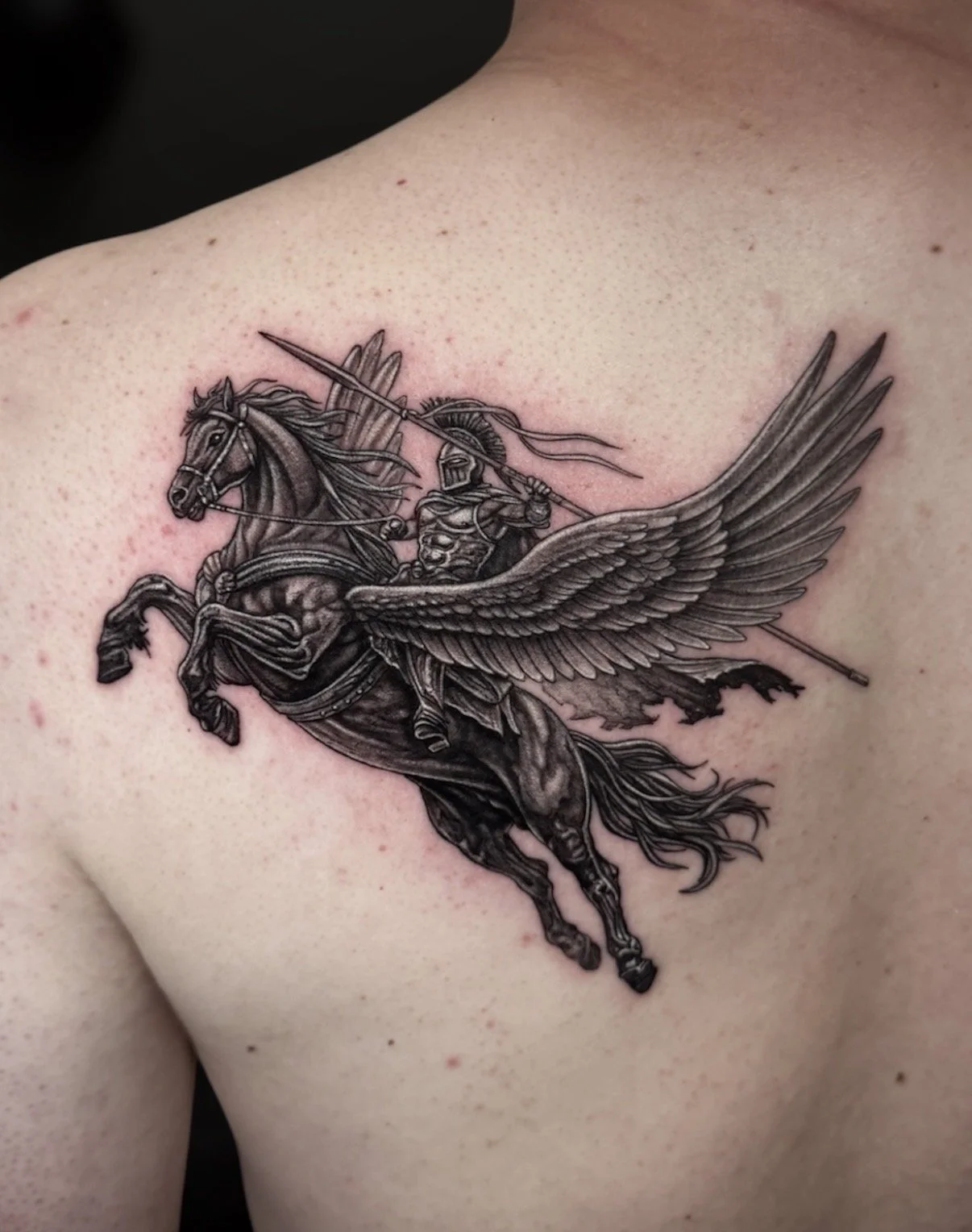 Black and grey Pegasus tattoo carrying an armoured warrior with a spear, by Chris Kennedy.