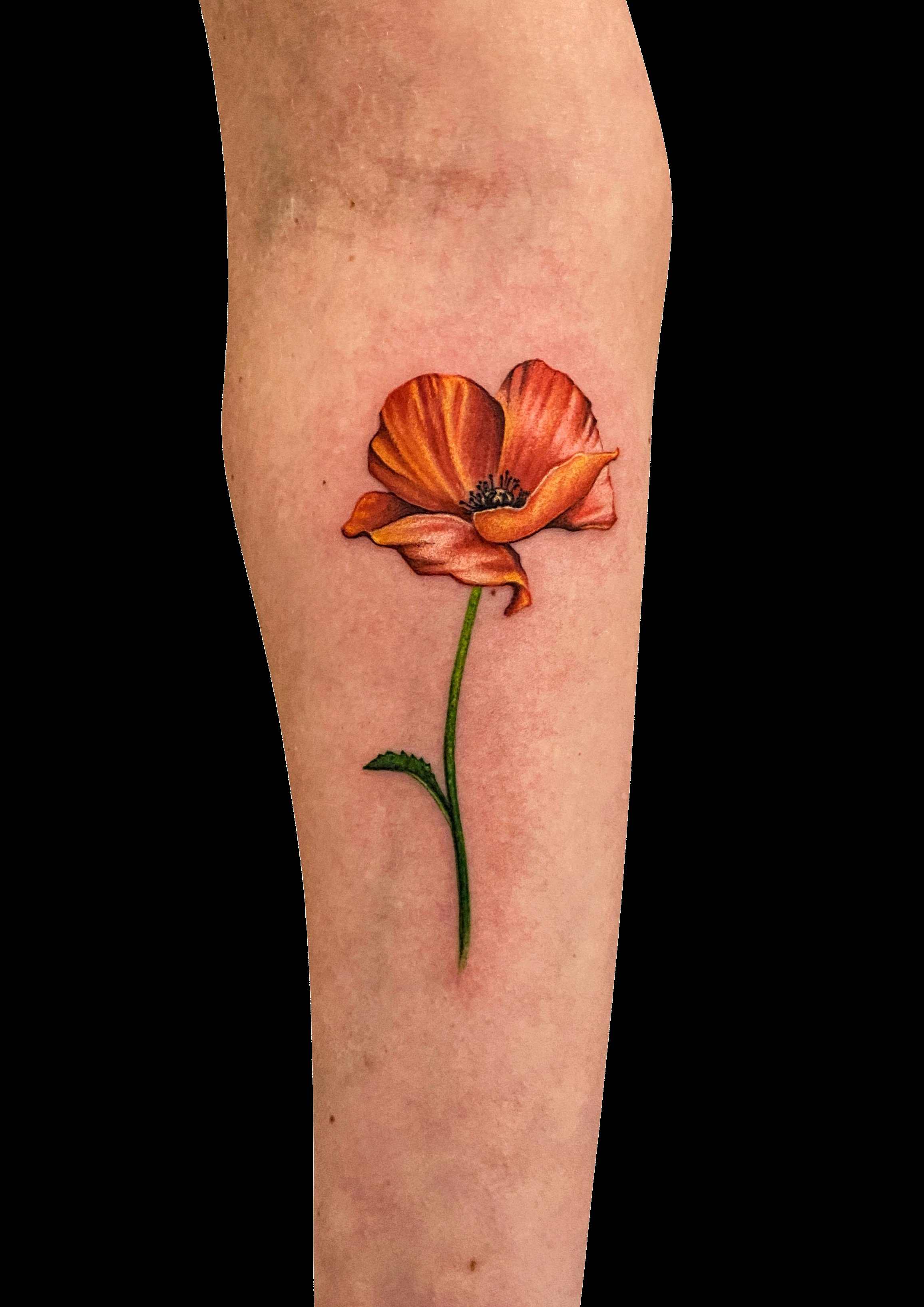 Orange poppy tattoo with a thin green stem.