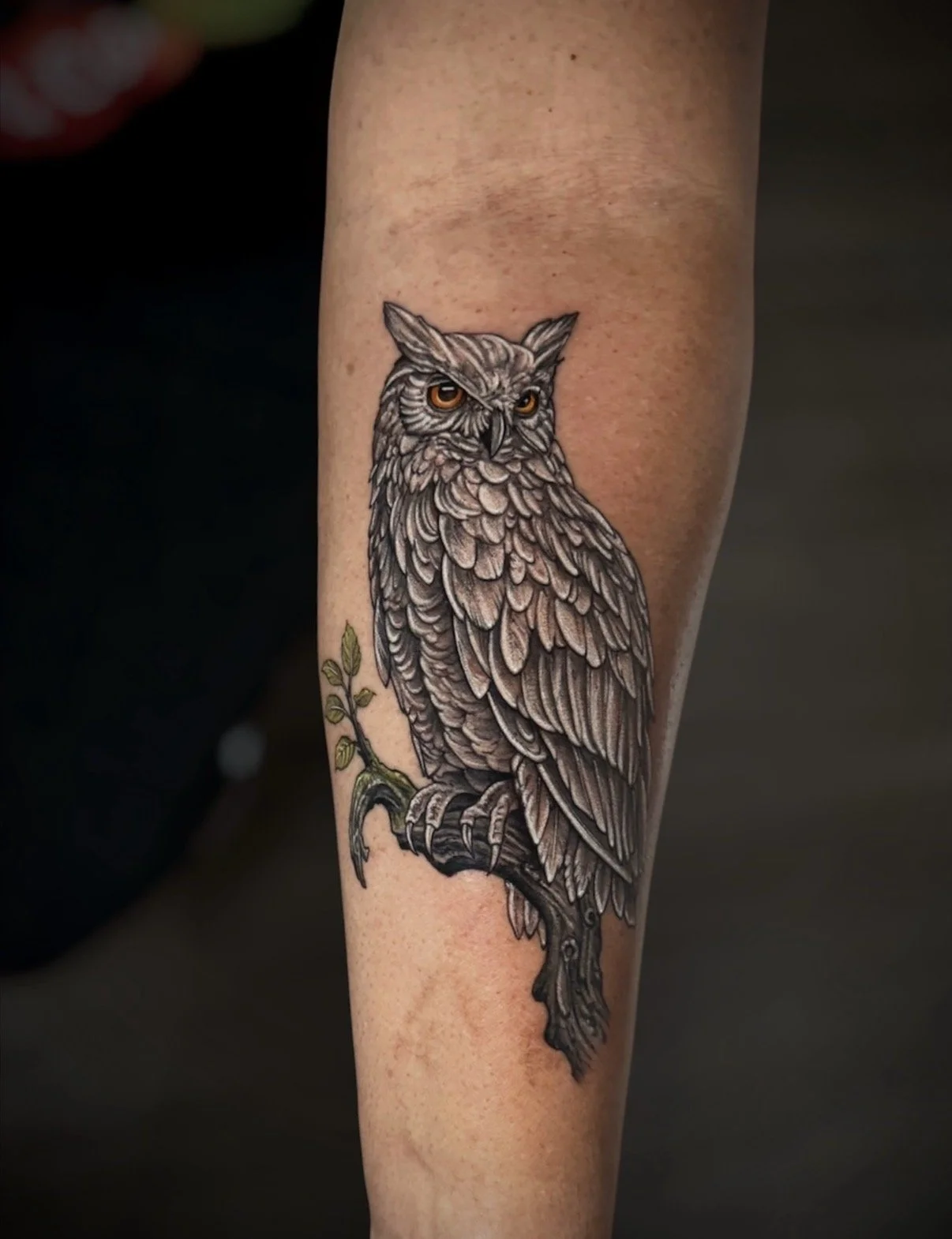 Black and grey owl tattoo perched on a branch with amber eyes and green leaves, by Chris Kennedy.