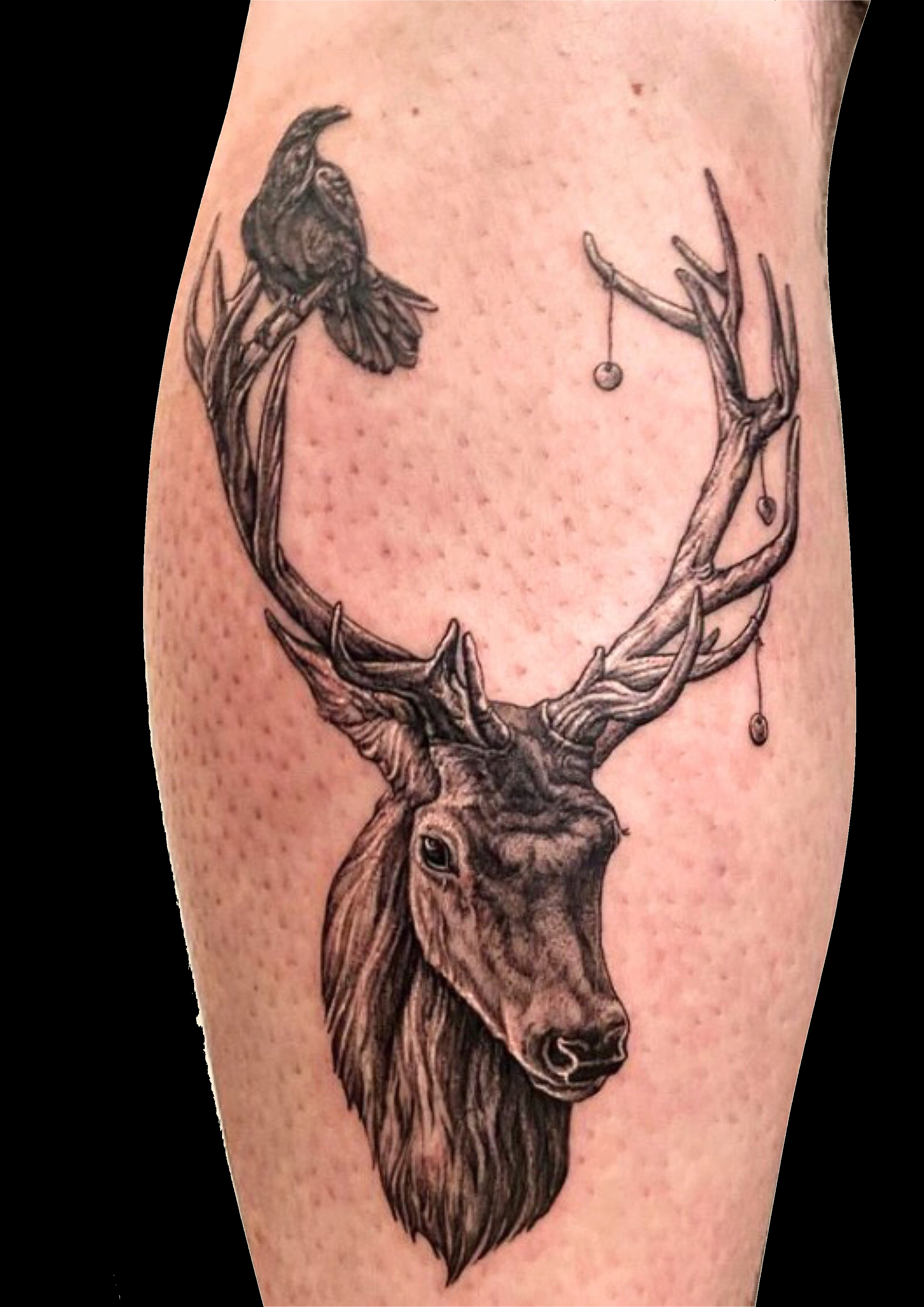 Black and grey stag portrait tattoo with branching antlers.