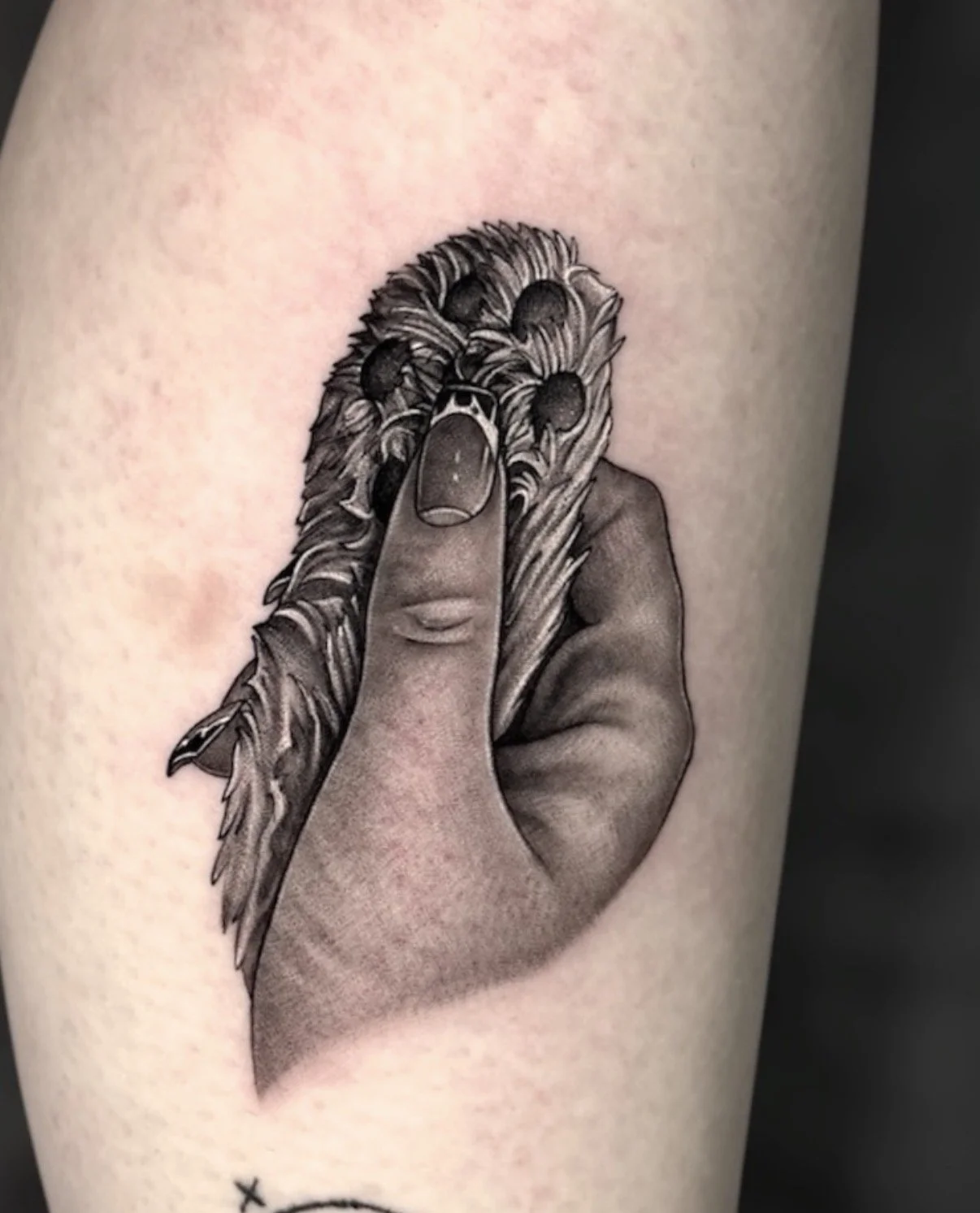 Black and grey tattoo of a hand holding a feather, by Chris Kennedy.