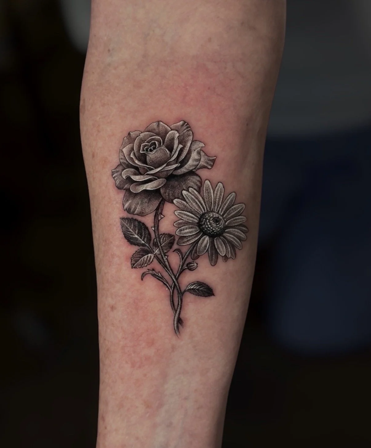 Black and grey rose and daisy tattoo with intertwined stems, by Chris Kennedy.