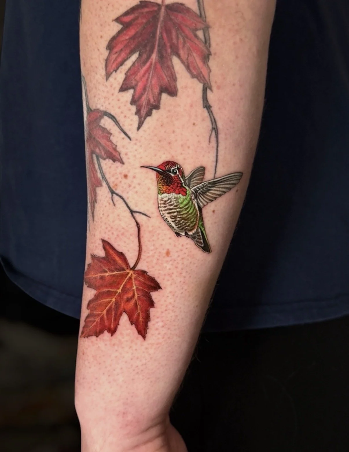 Colour hummingbird tattoo among red maple leaves, by Chris Kennedy.