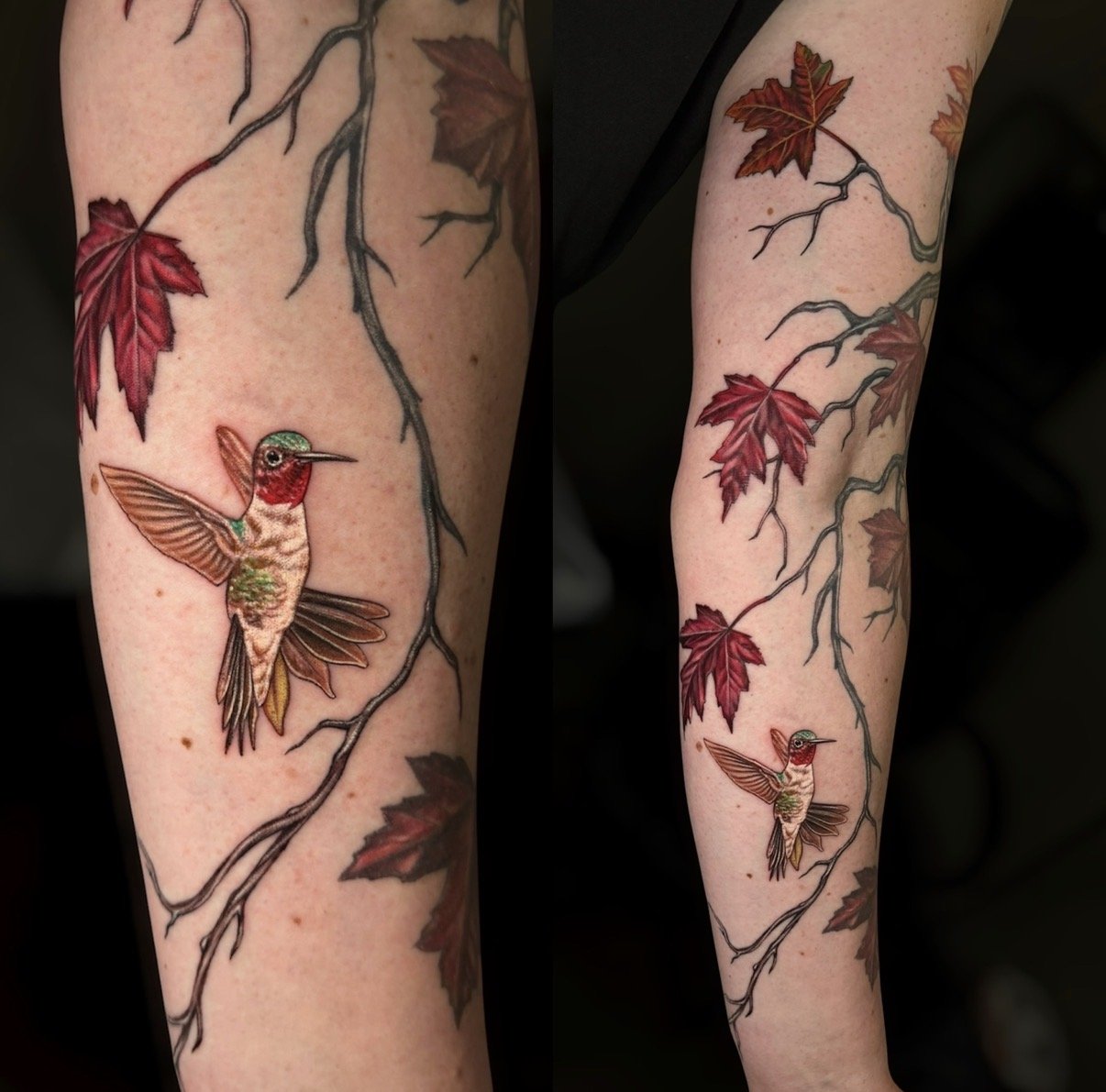 Two views of a colour hummingbird tattoo among red maple leaves and branching stems, by Chris Kennedy.