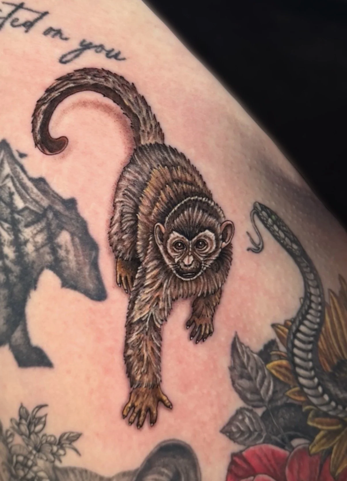Detailed brown monkey tattoo with a curled tail, by Chris Kennedy.