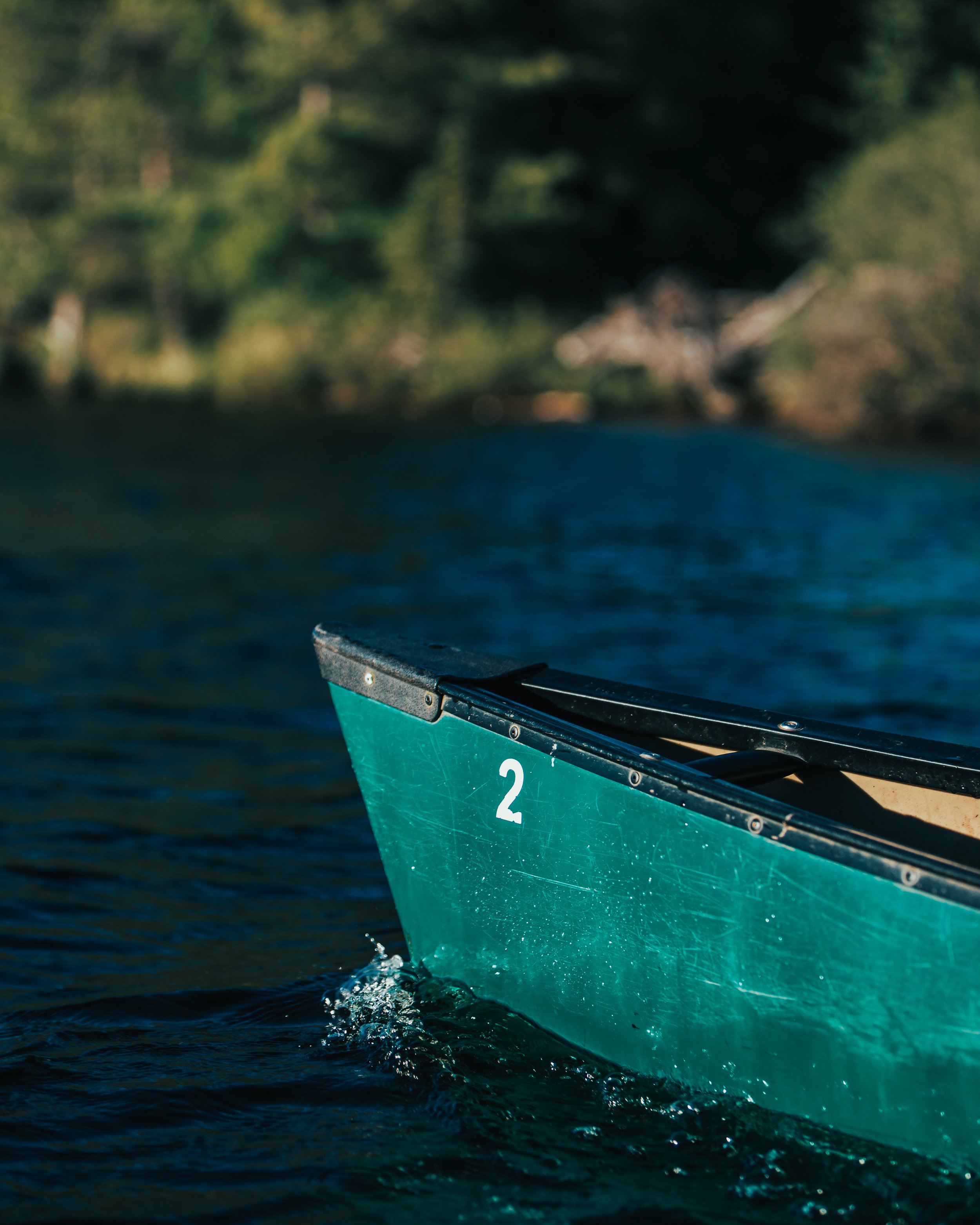 IMG_3599_canoe_foraging_ahead.jpg